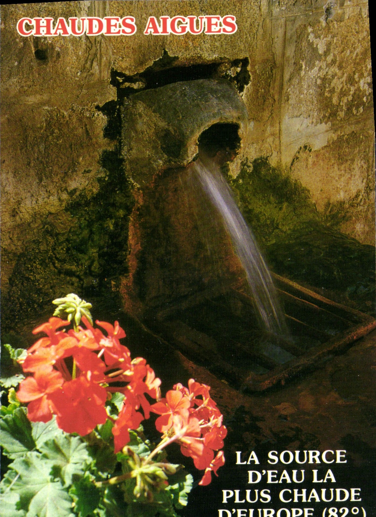 CPM Le Cantal Touristique Chaudes Aigues Cantal Eau la plus Chaude d'Europe