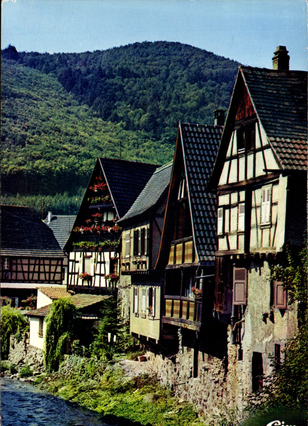 CPM Kaysersberg Haut Rhin Maisons anciennes sur le bord de la Weiss 