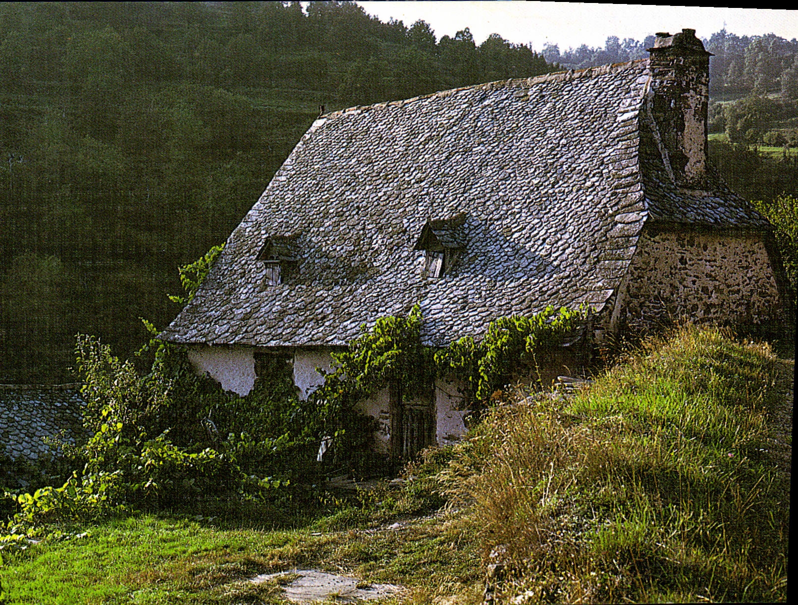 CPA Toit de Lauzes tu me ravis Sous tous tes Angles 