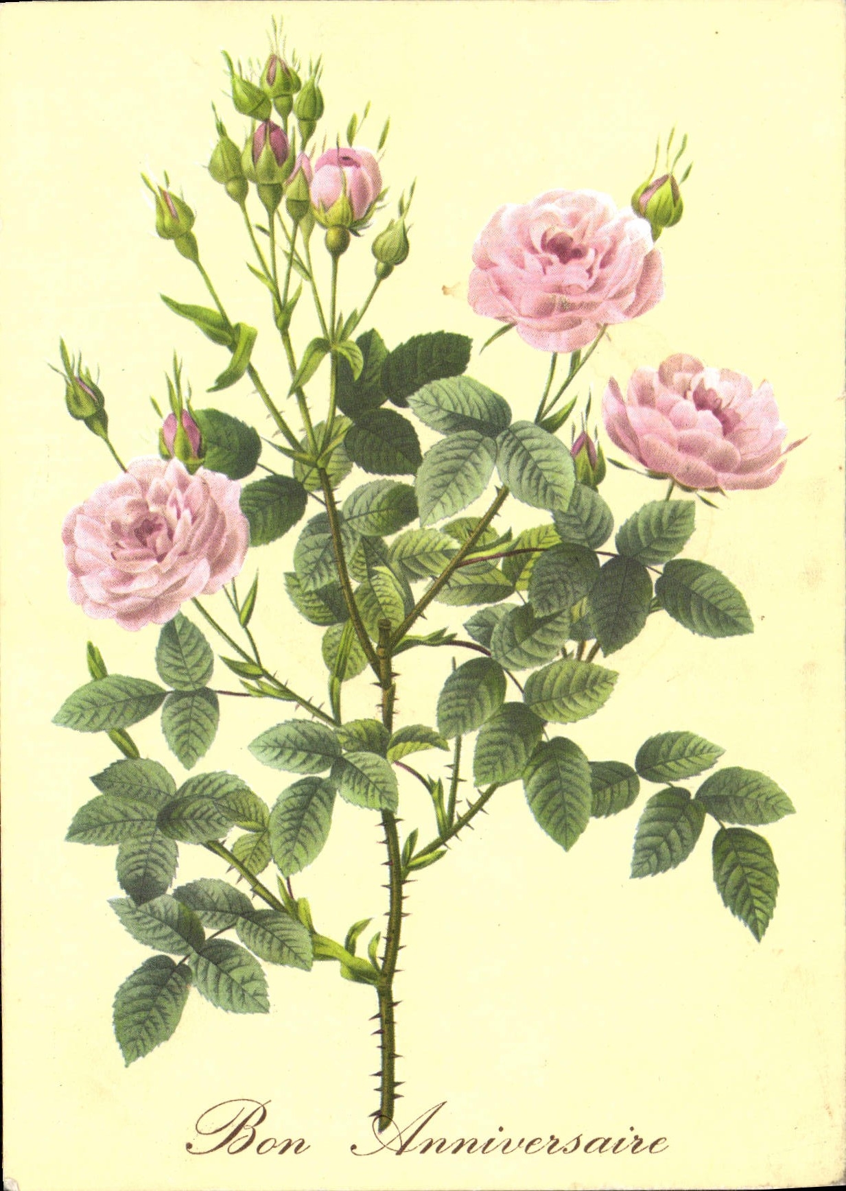 CPM Bon Anniversaire Fleurs