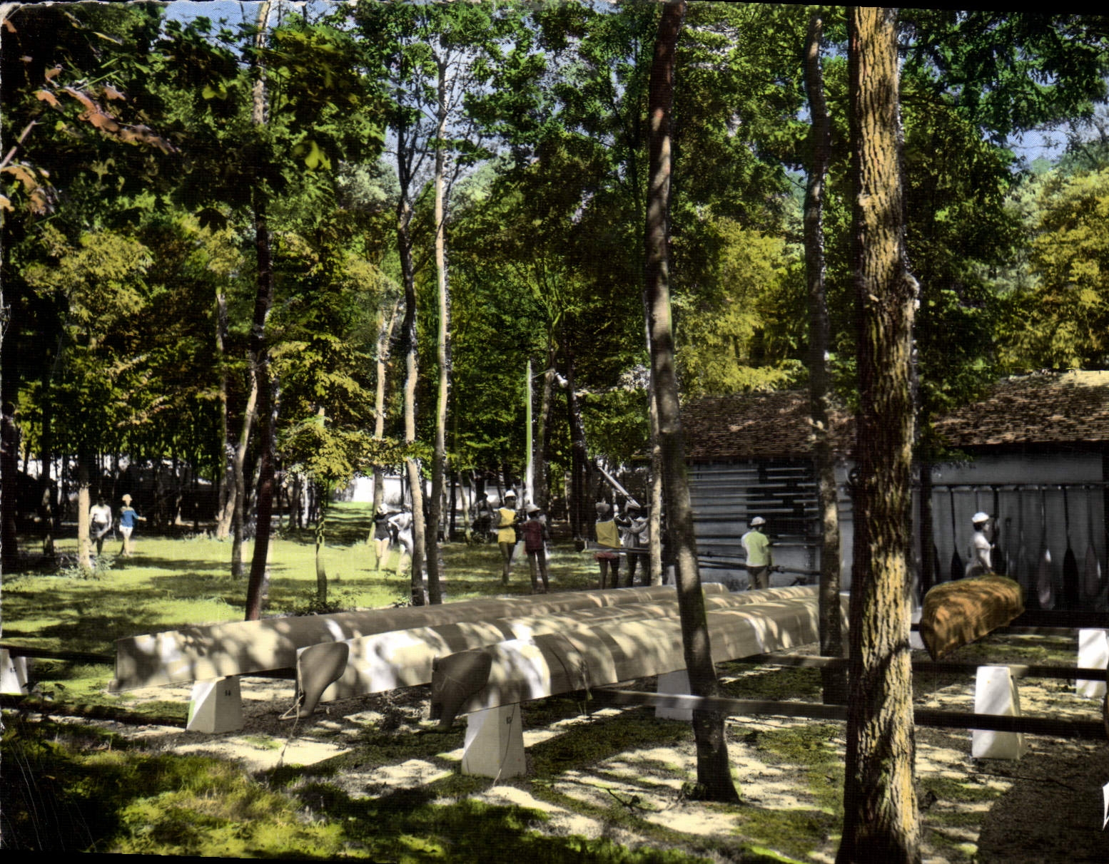 CPM La vallee de l'Yonne Serbonnes Yonne le camp de la colonie de vacances de l'EGF