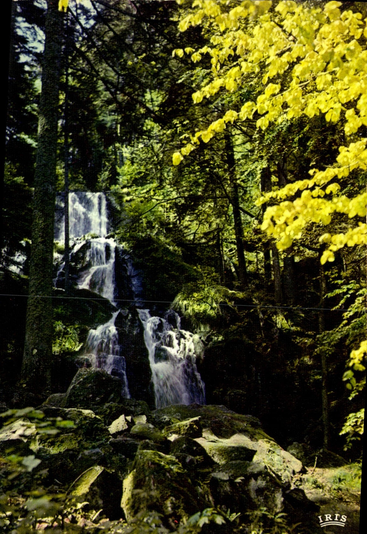 CPM Les Vosges pittoresque Cascade de Tendon 