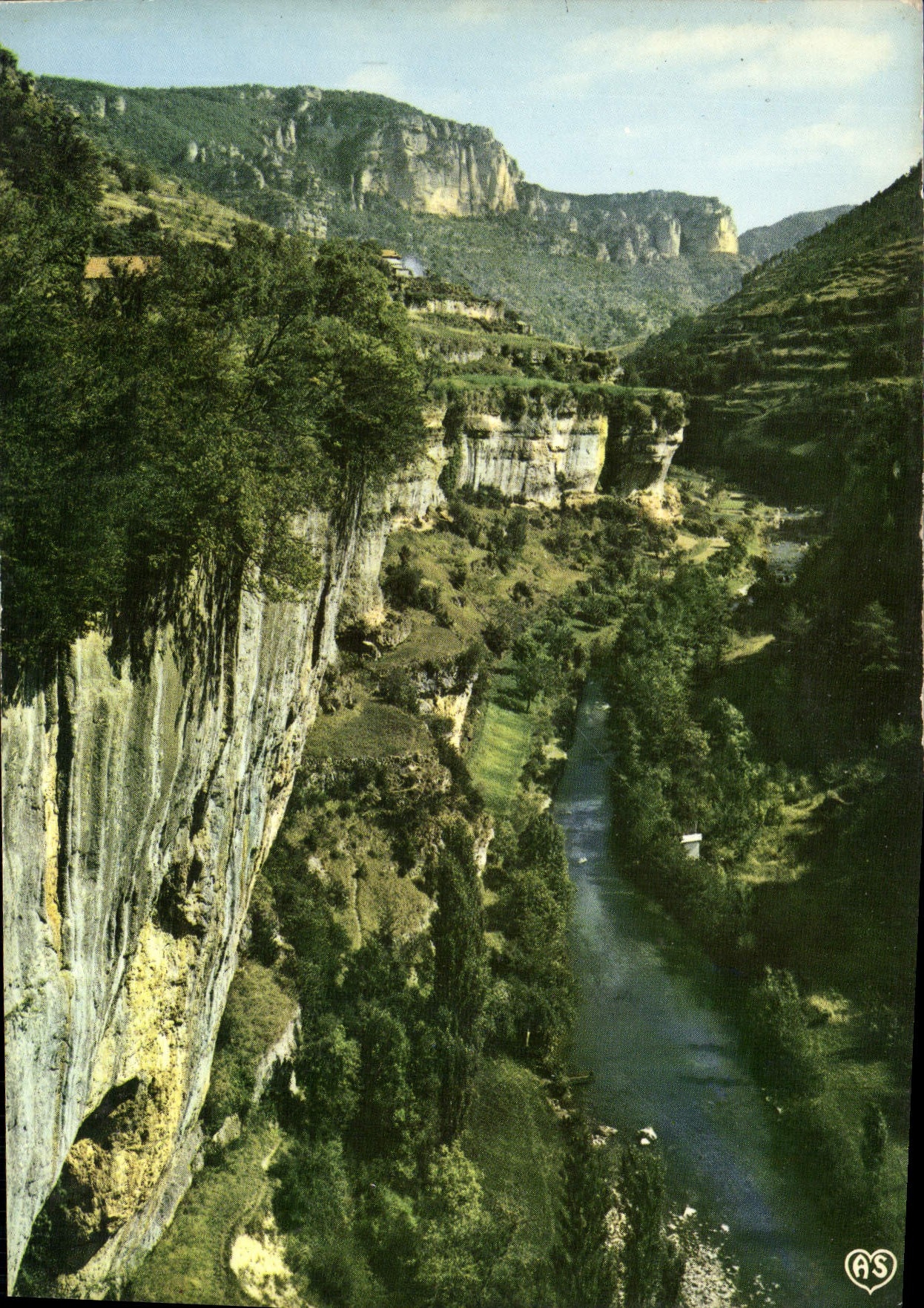 CPM En Parcourant les Gorges du Tarn Gorges de la Jonte Lozere 