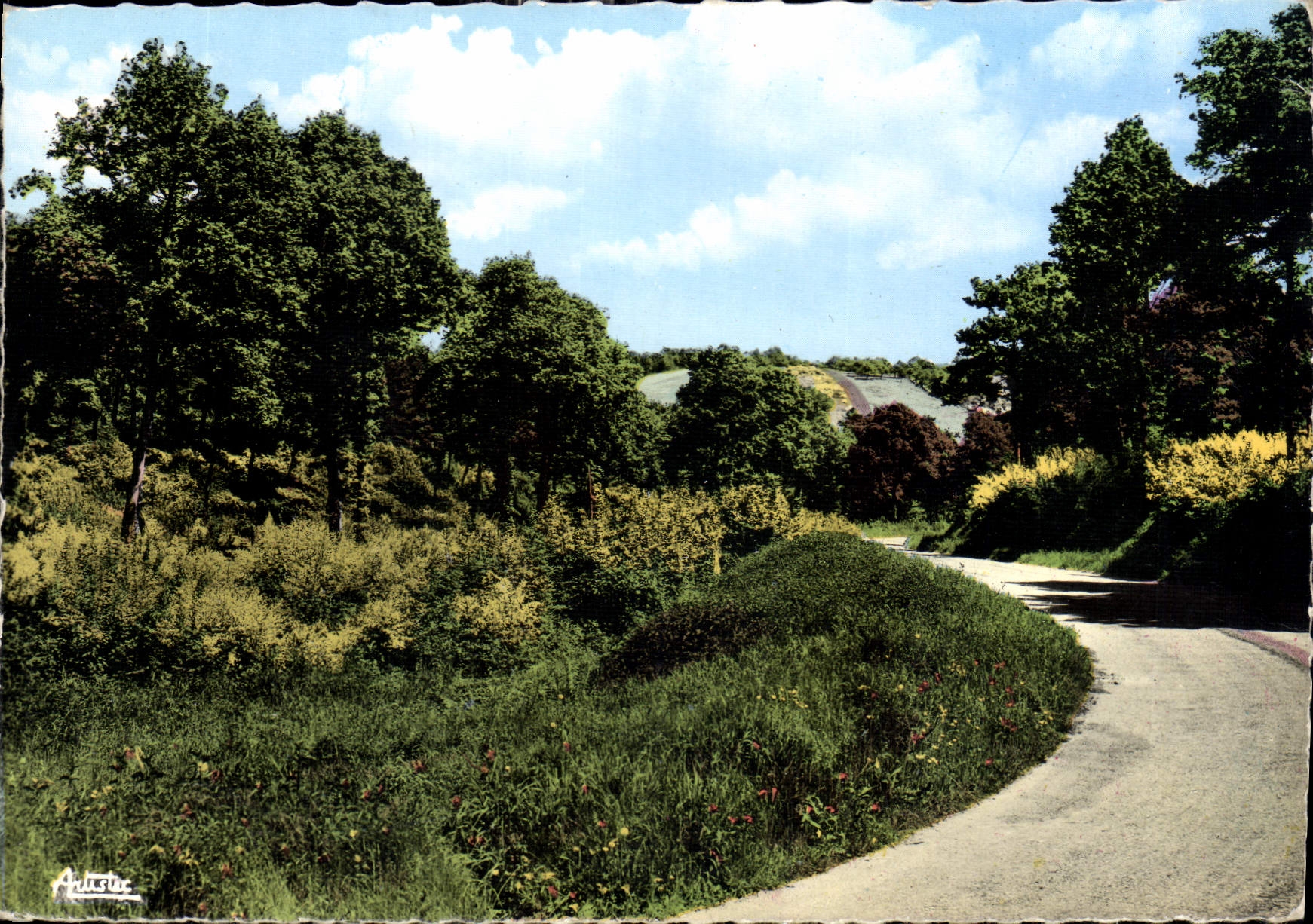 CPM Le Morvan pittoresque  Les Genets en fleurs 