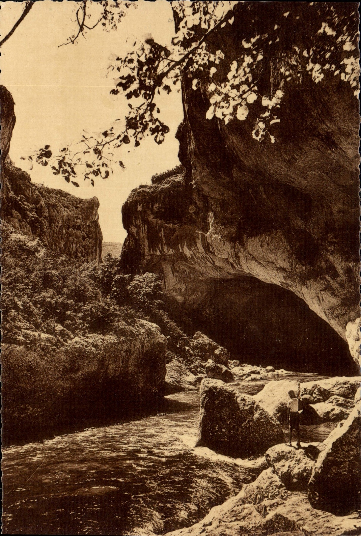 CPM Les Gorges du Verdon La Baume aux Pigeons