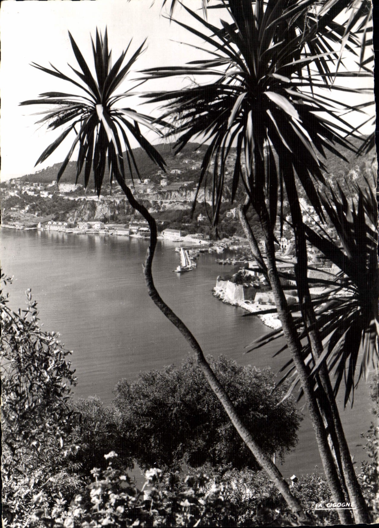 CPM Villefranche sur Mer A M dans son Decor Mediterraneen