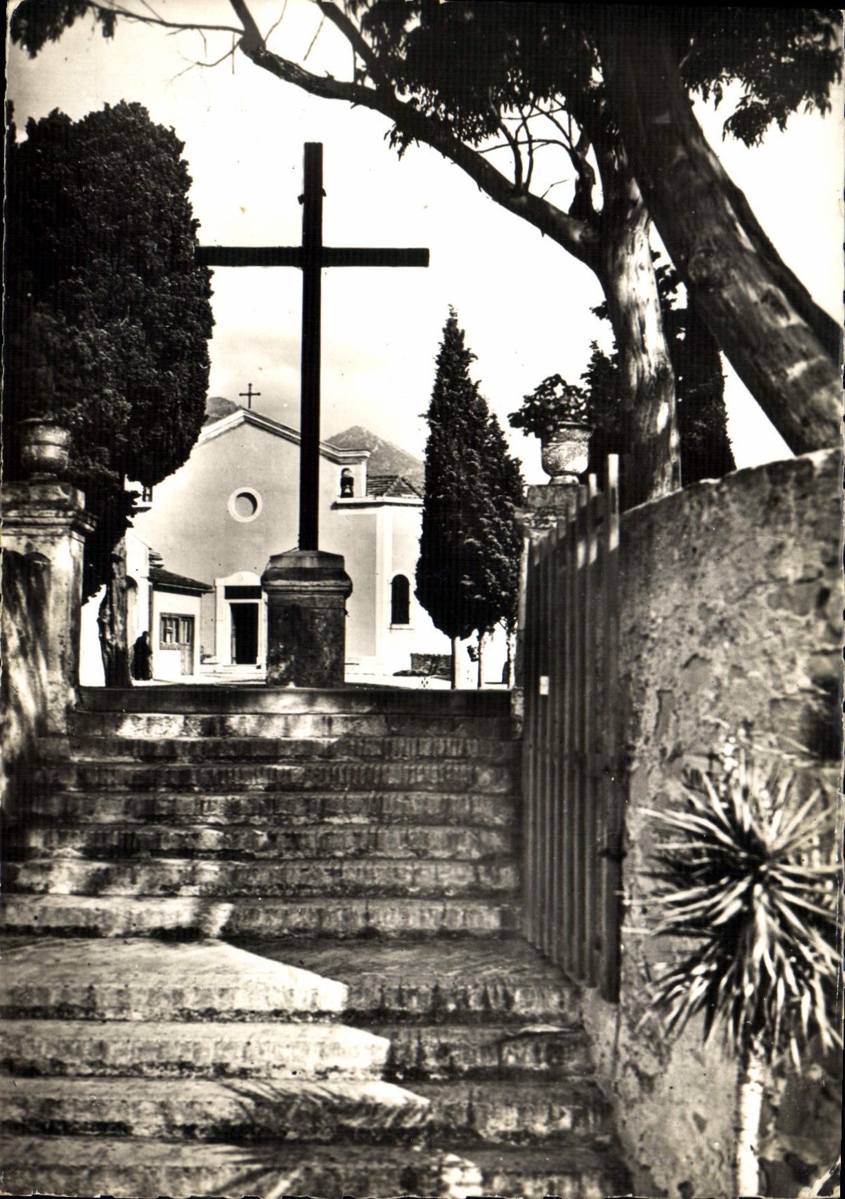 CPM Menton A M N D de l'Annonciade Arivee sur la Terrasse