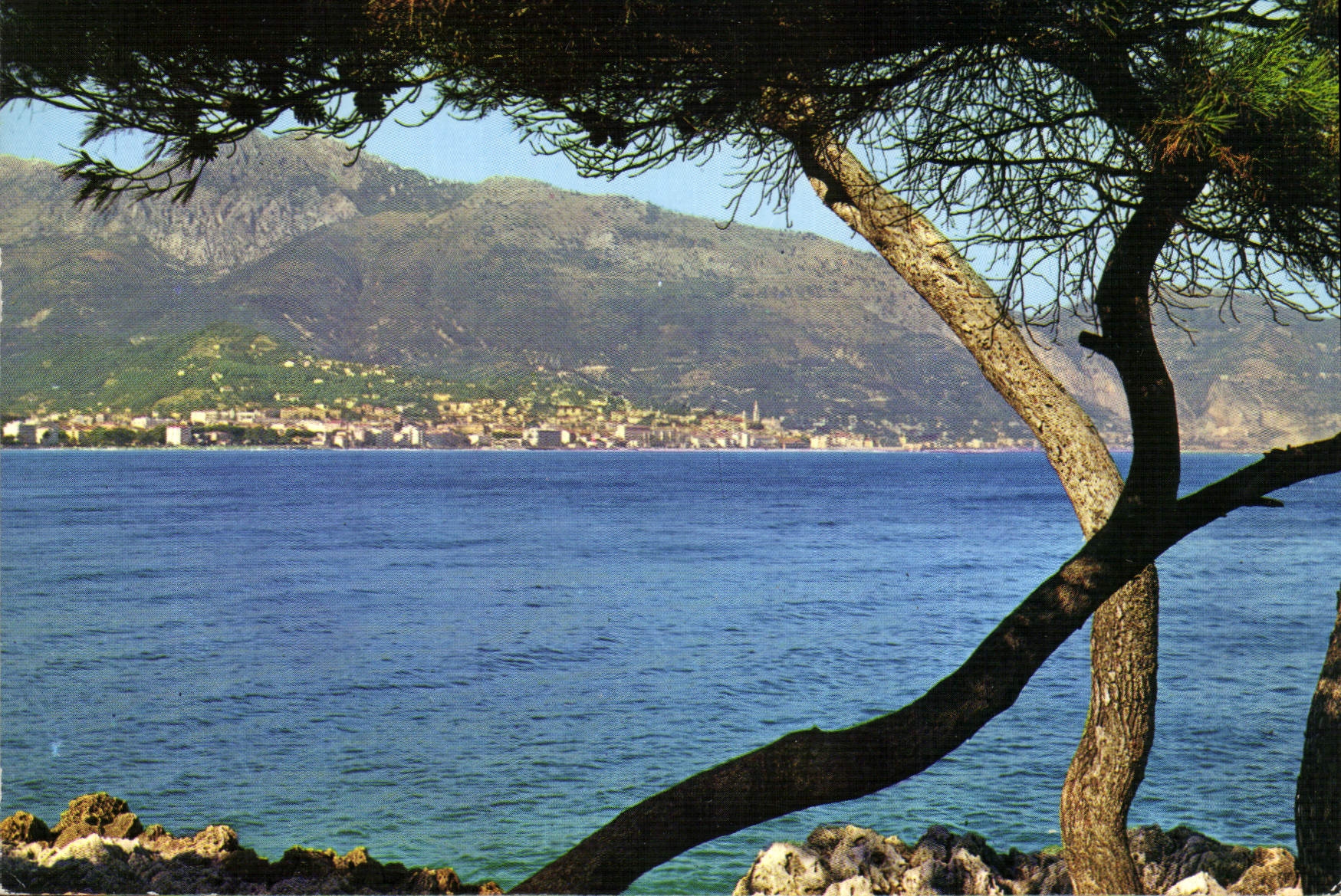 CPM Menton vue generale prise du Cap Martin