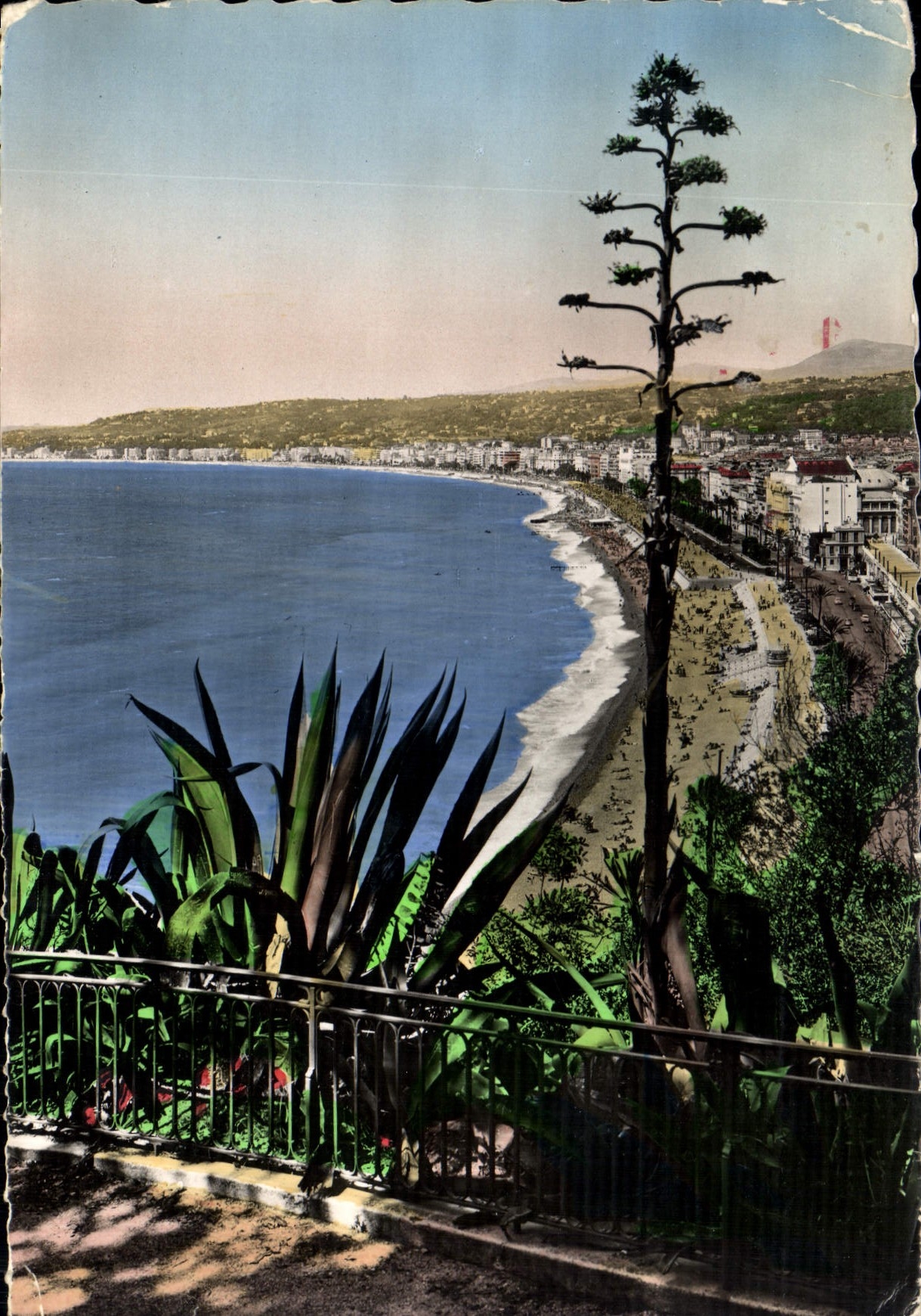CPM Nice vue generale prise du Chateau 