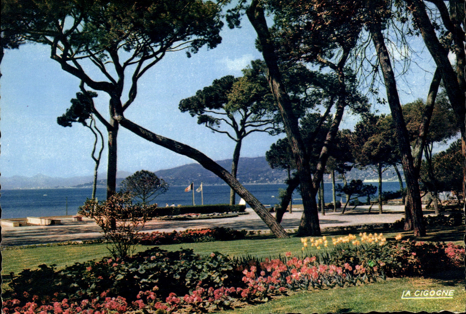 CPM Reflets de la Cote d'Azur Juan les Pins les Terrasses du Casino