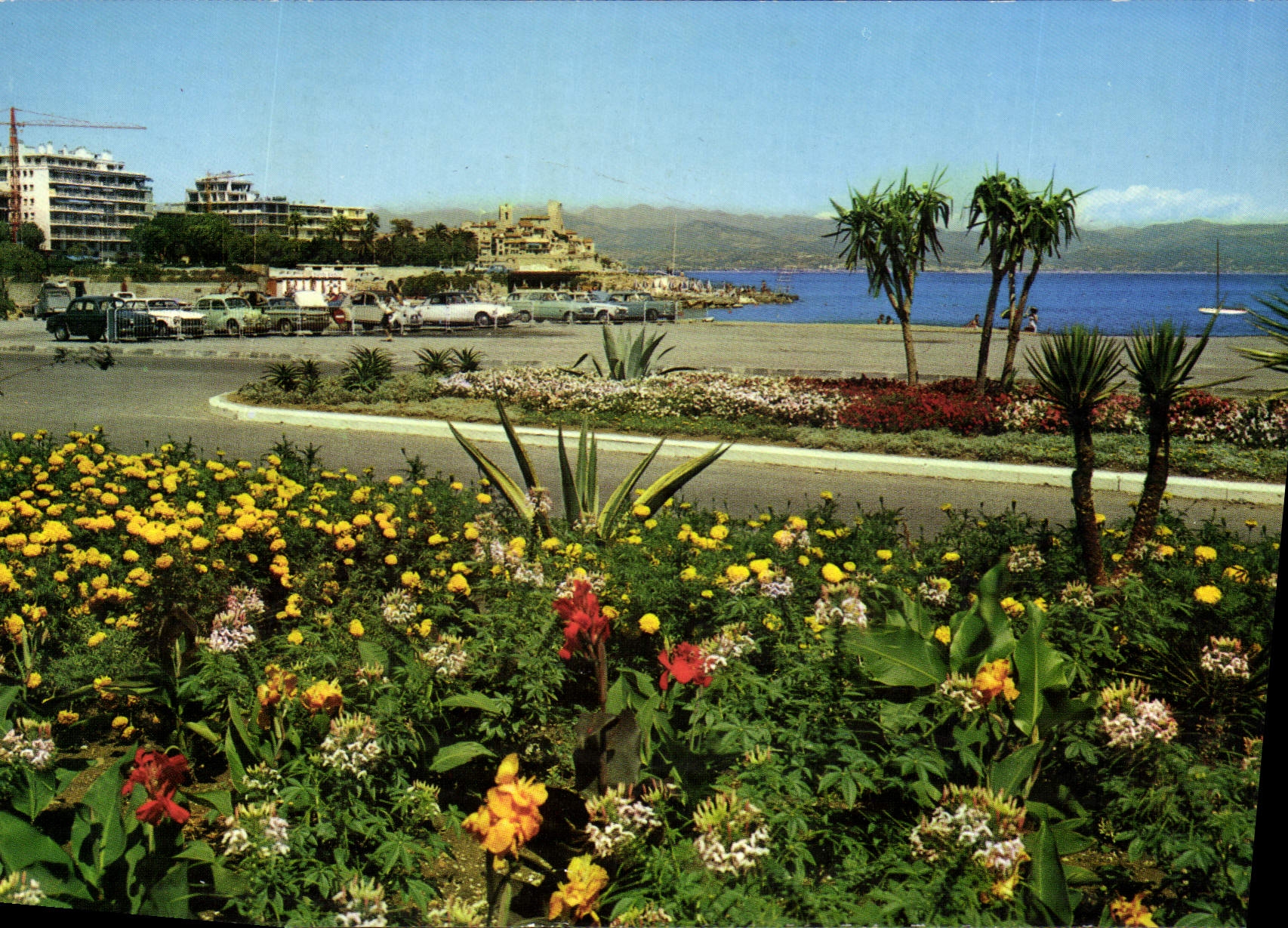 CPM La Cote d'Azur Antibes l'Ilette au fond les Remparts et la Chaine des Alpes 