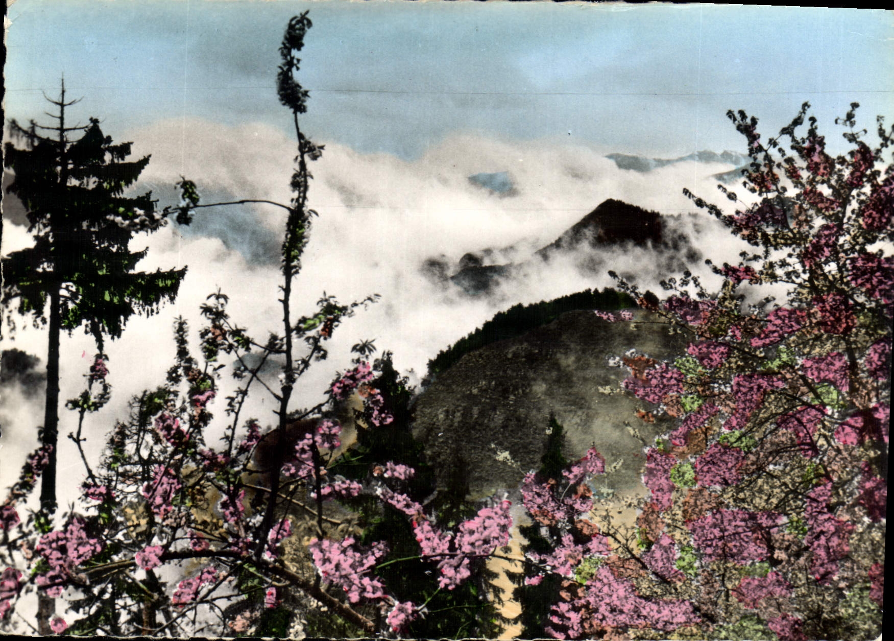 CPM Printemps a Peira Cava A M Mer de nuages vue prise du Grand Hotel 