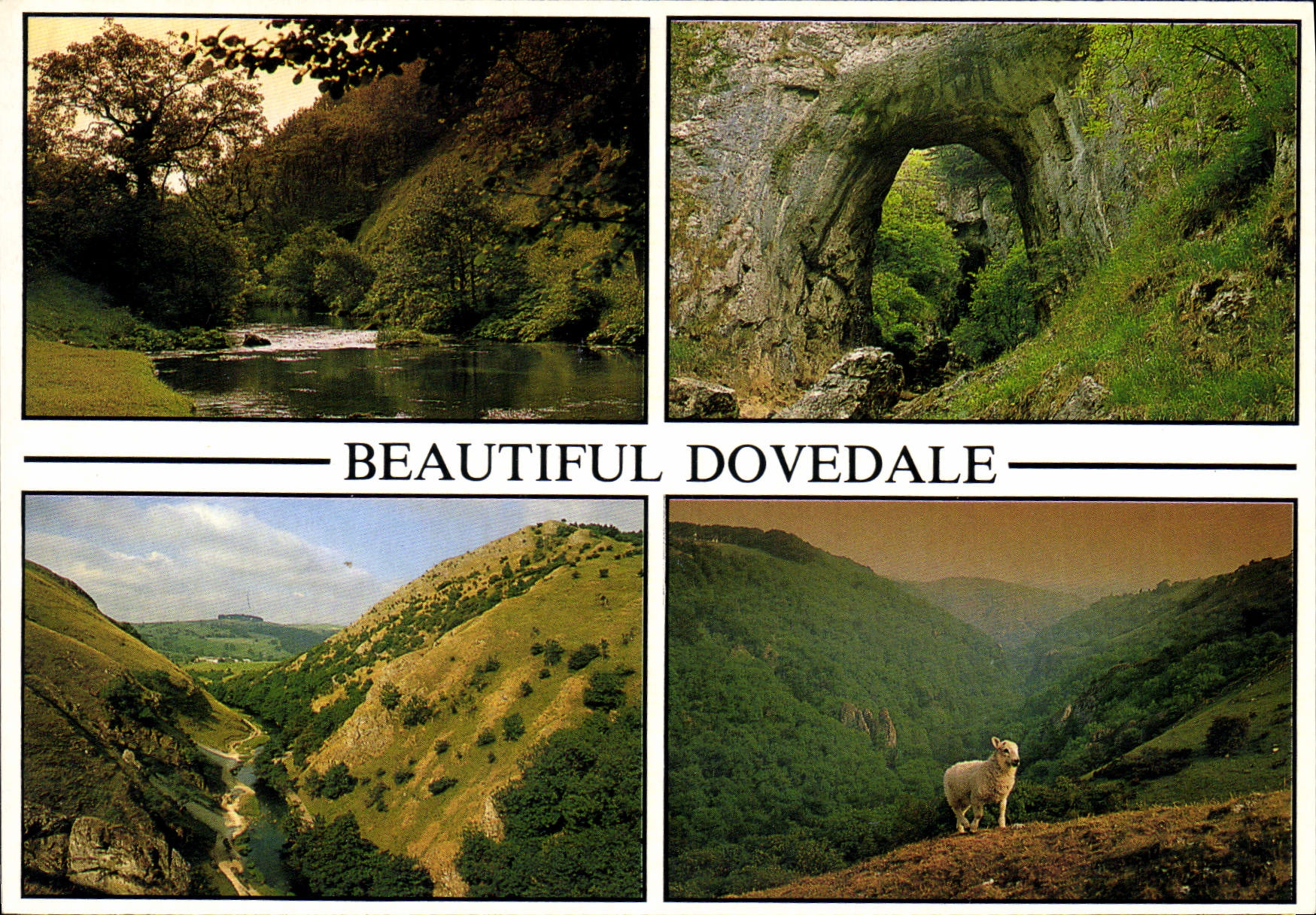 CPM Beautiful Dovedale 