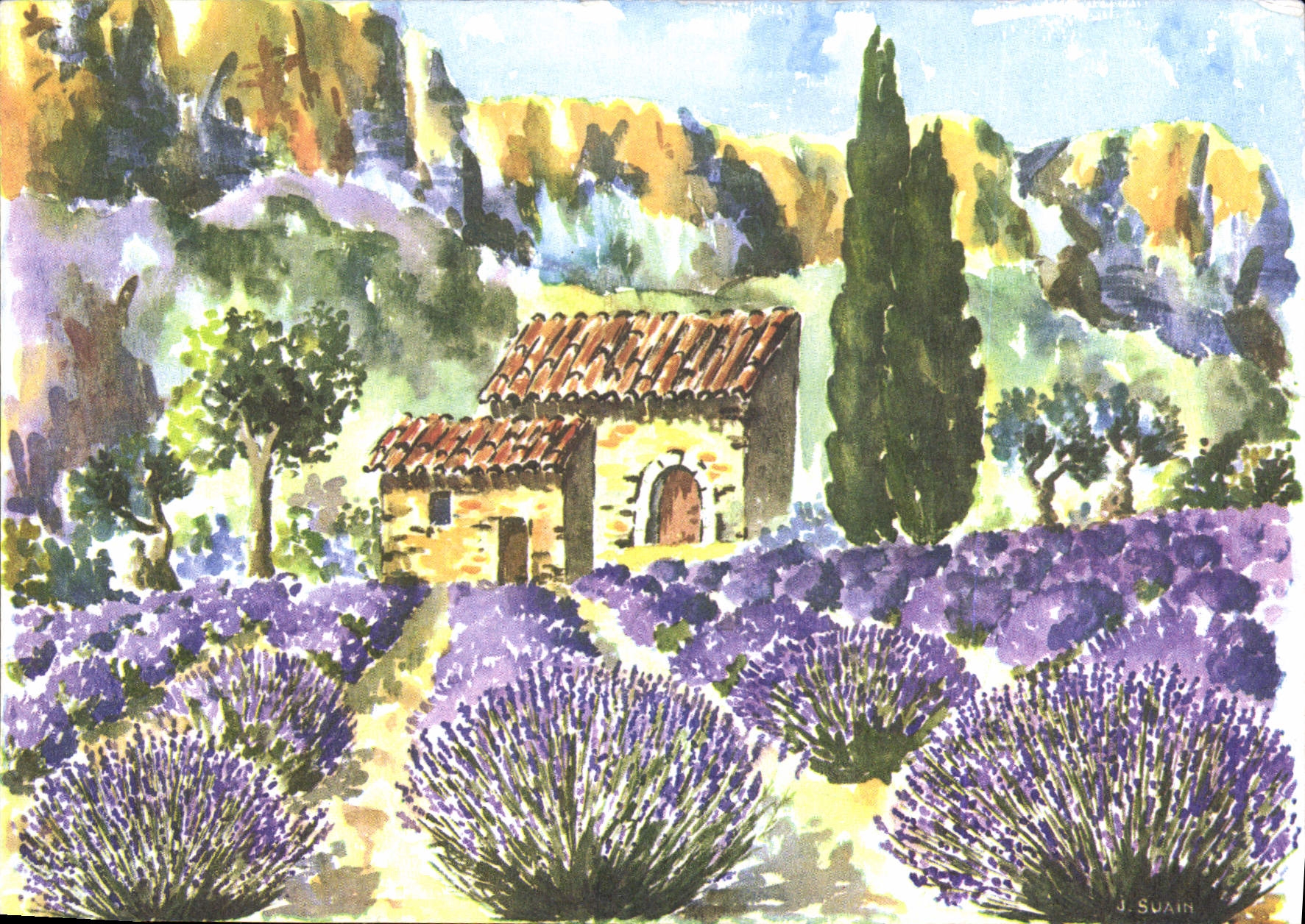 CPM La Provence Pittoresque dans les Lavandes en fleurs 