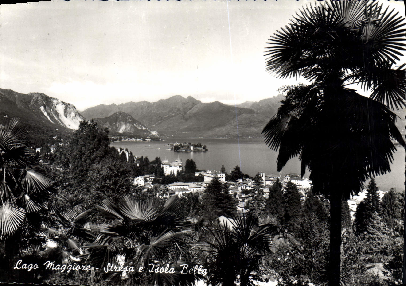 CPM Lago Maggiore Stresa et Ile Bella
