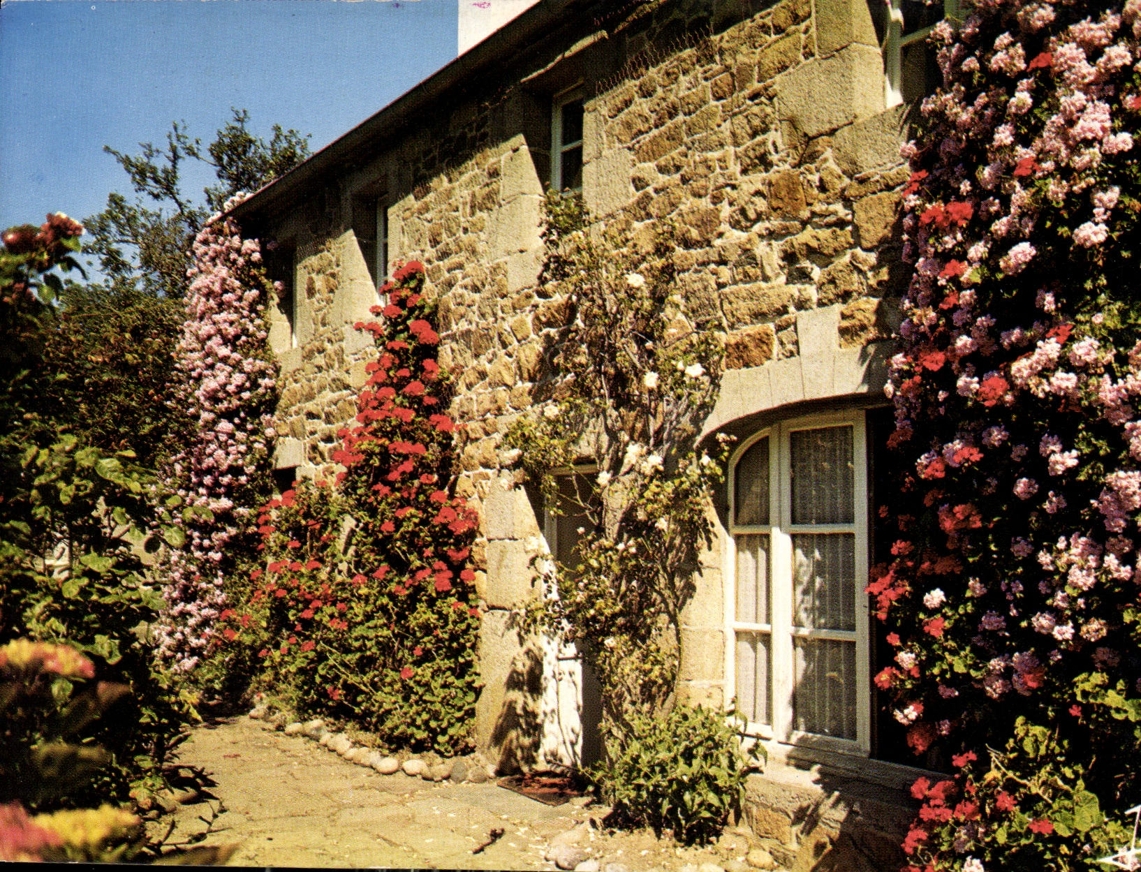CPM Couleur de Bretagne Maison fleurie 
