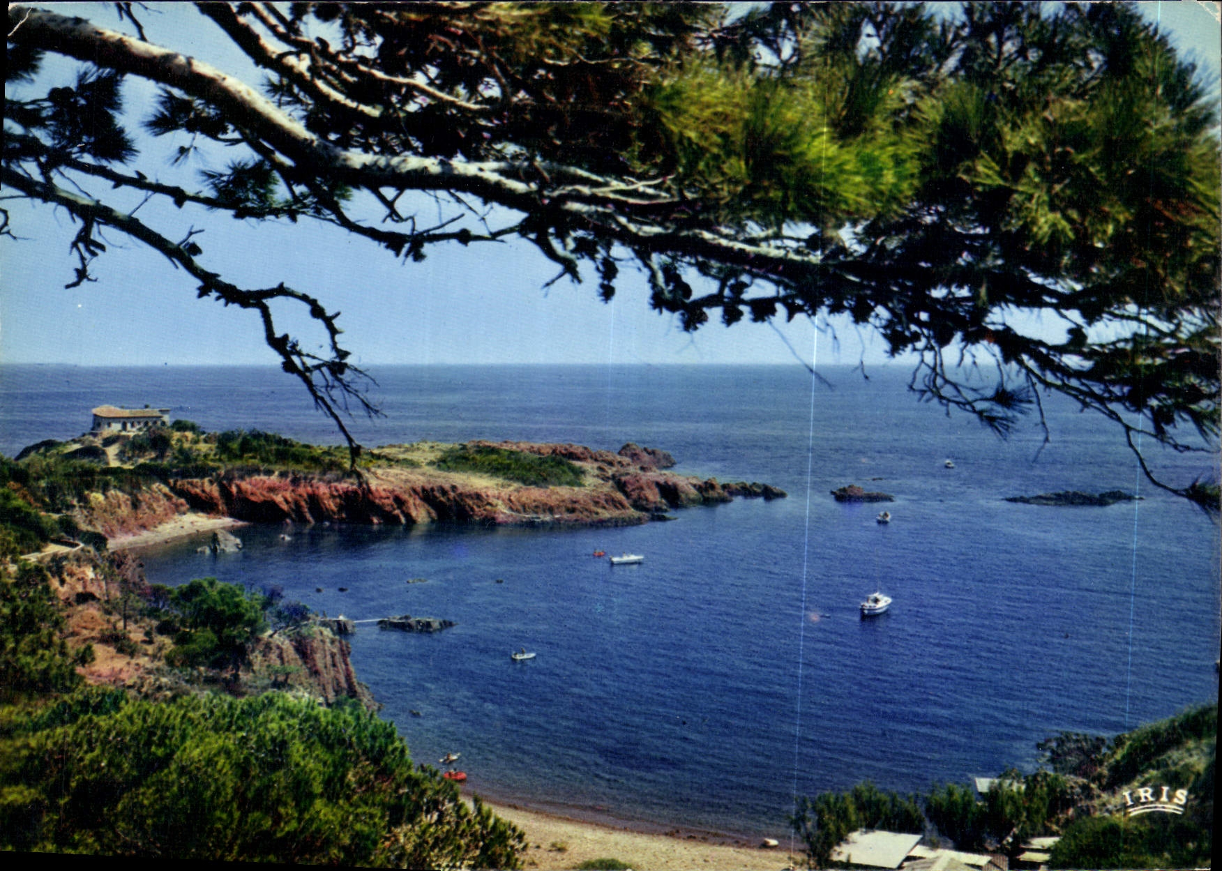 CPM Reflets de la Cote d'Azur Sur la Corniche d'Or un coin ideal 