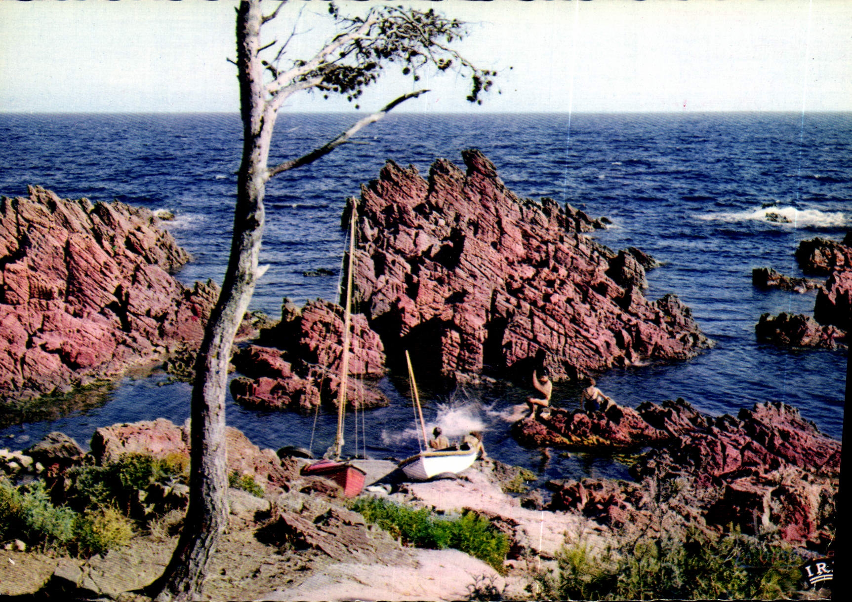 CPM Reflets de la Cote d'Azur La Petite Calanque 