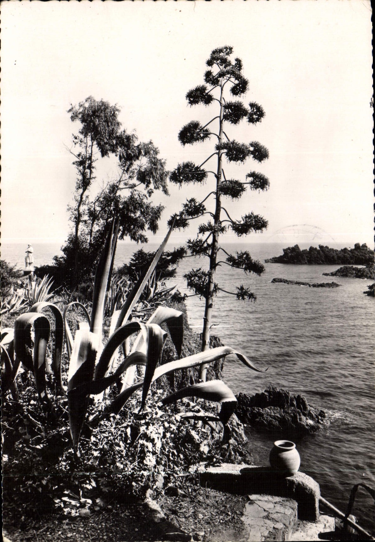 CPM La Cote d'Azur Eden 