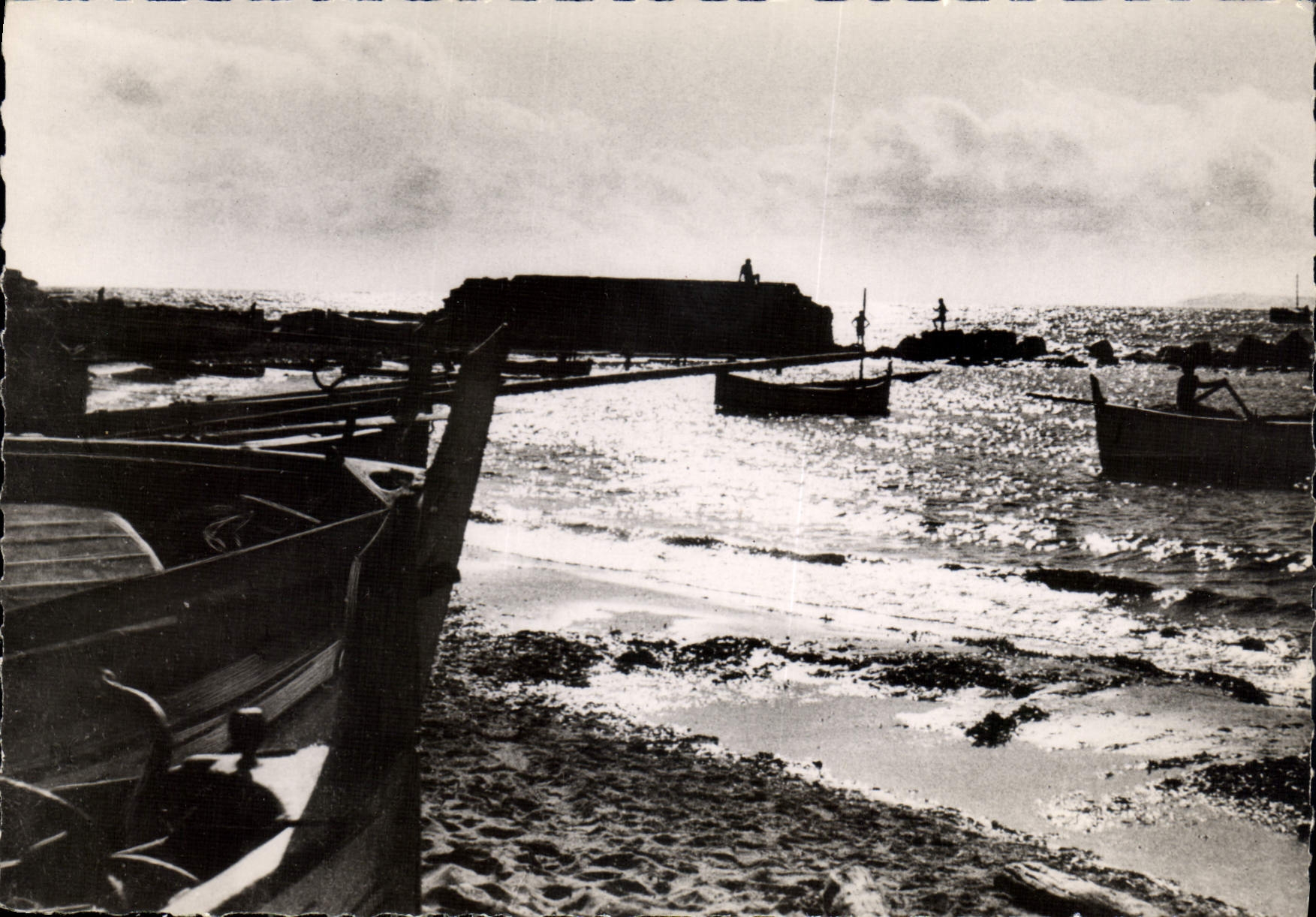 CPM Le Lavandou Coucher de soleil sur le Port