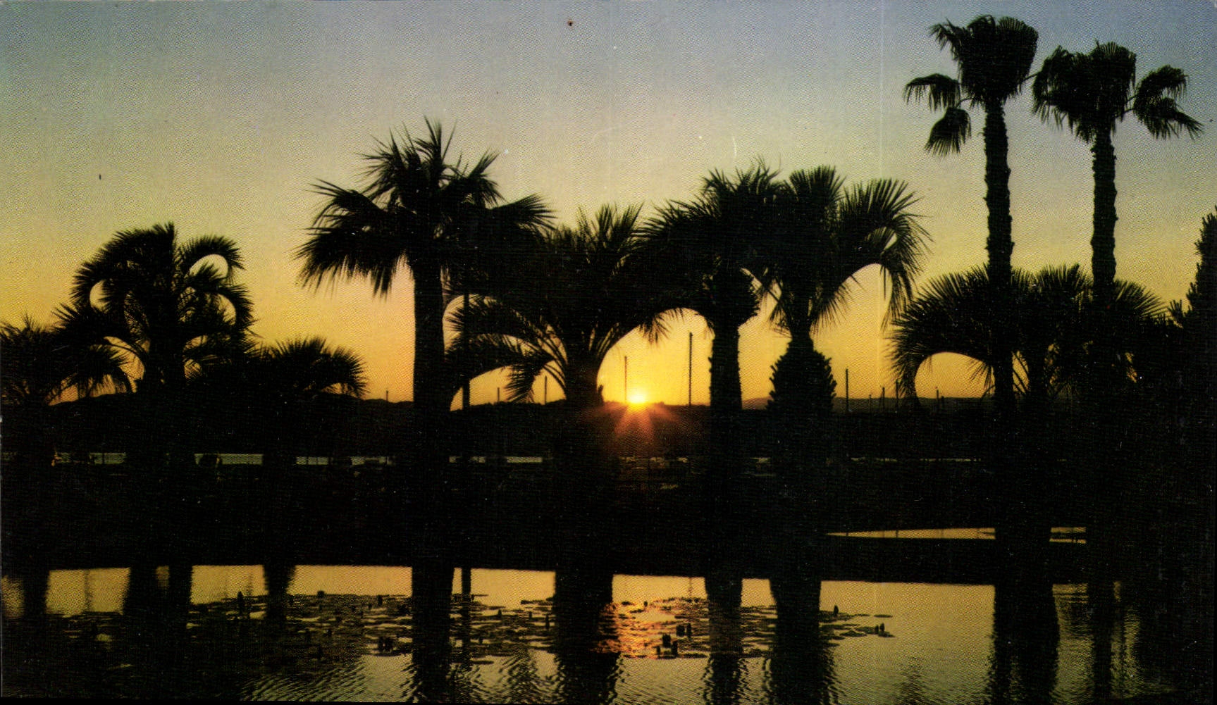 CPM La Cote d'Azur Cannes A M Coucher de soleil sur les Jardins du Port Canto