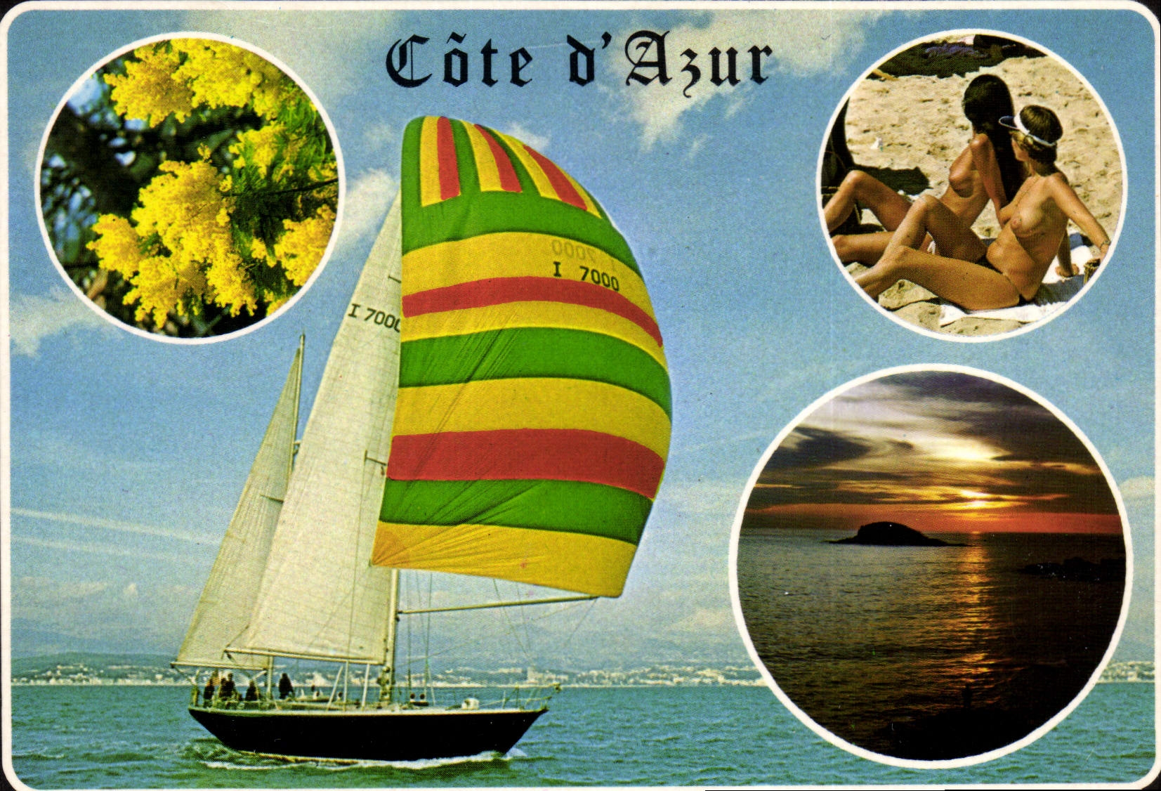 CPM Au soleil de la Cote d'Azur le Paradis Mediterraneen 