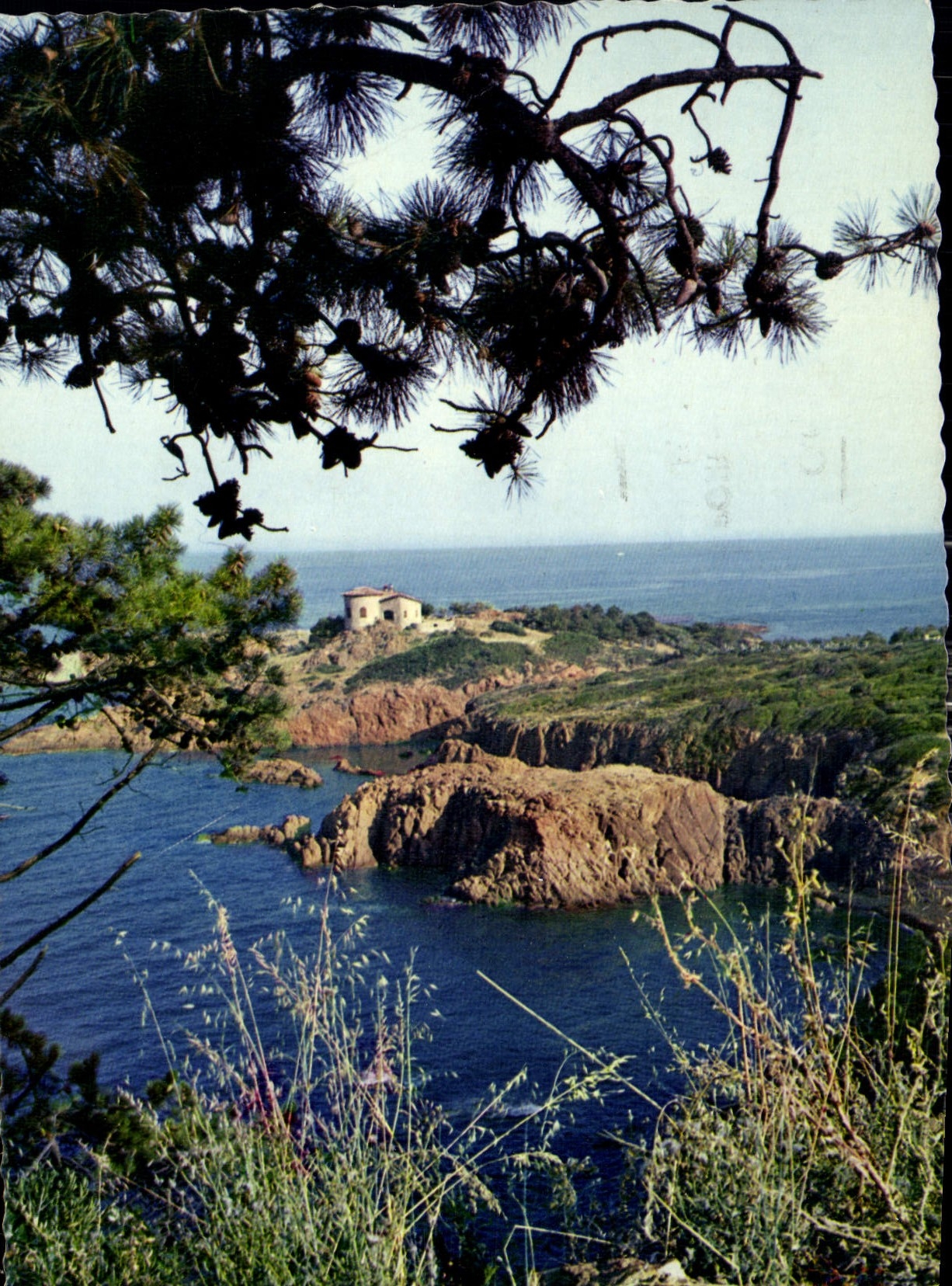 CPM Reflets de la Cote d'Azur sur les bords de la Corniche d'Or 