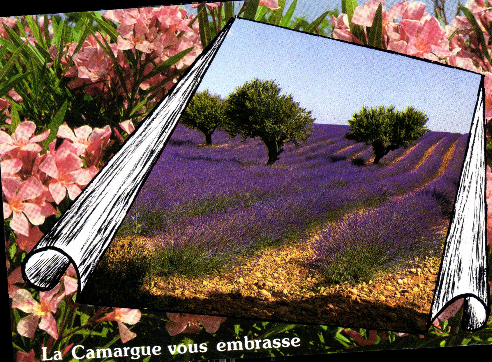 CPM La Camargue vous embrasse 