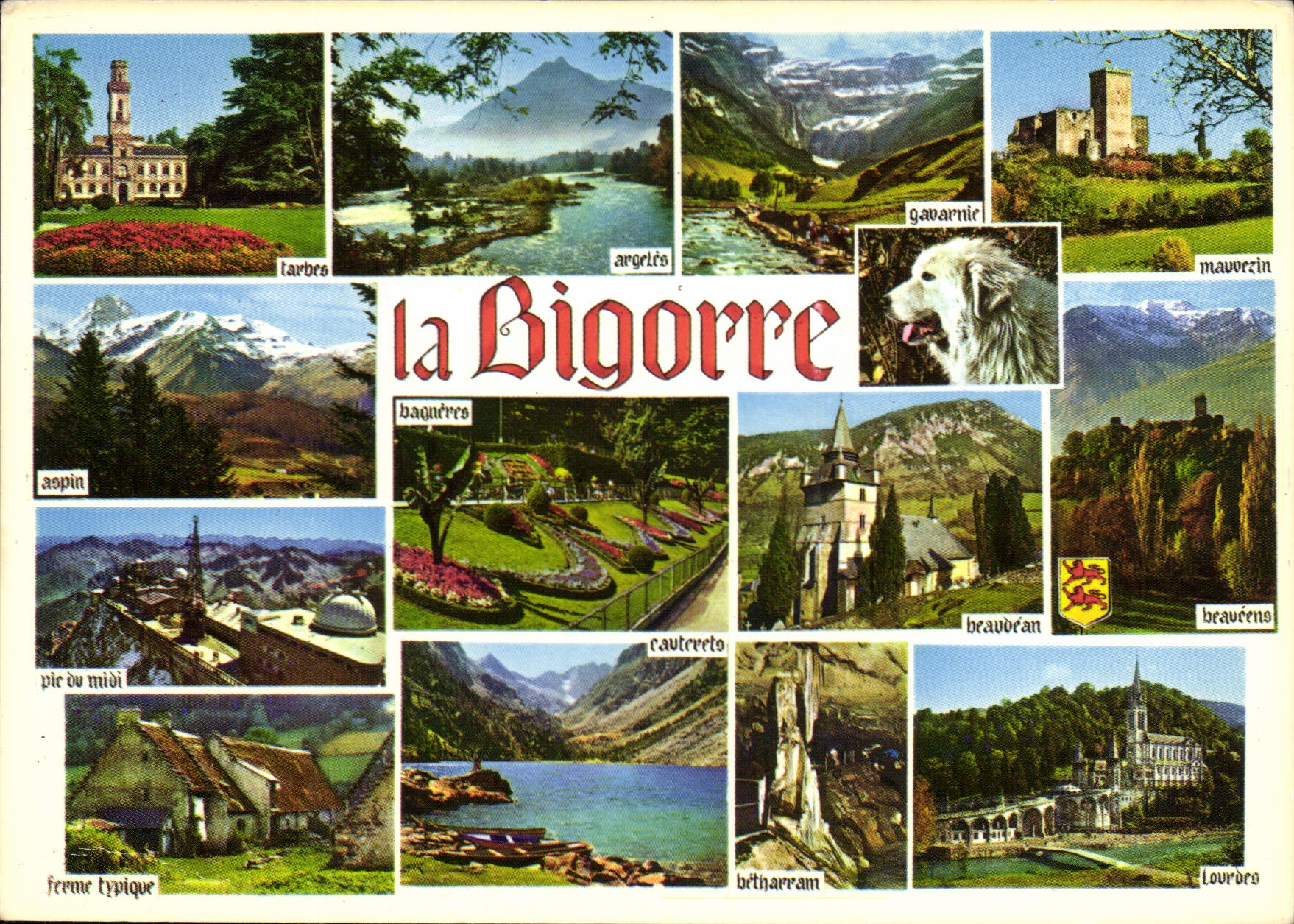 CPM Souvenir de la Bigorre 