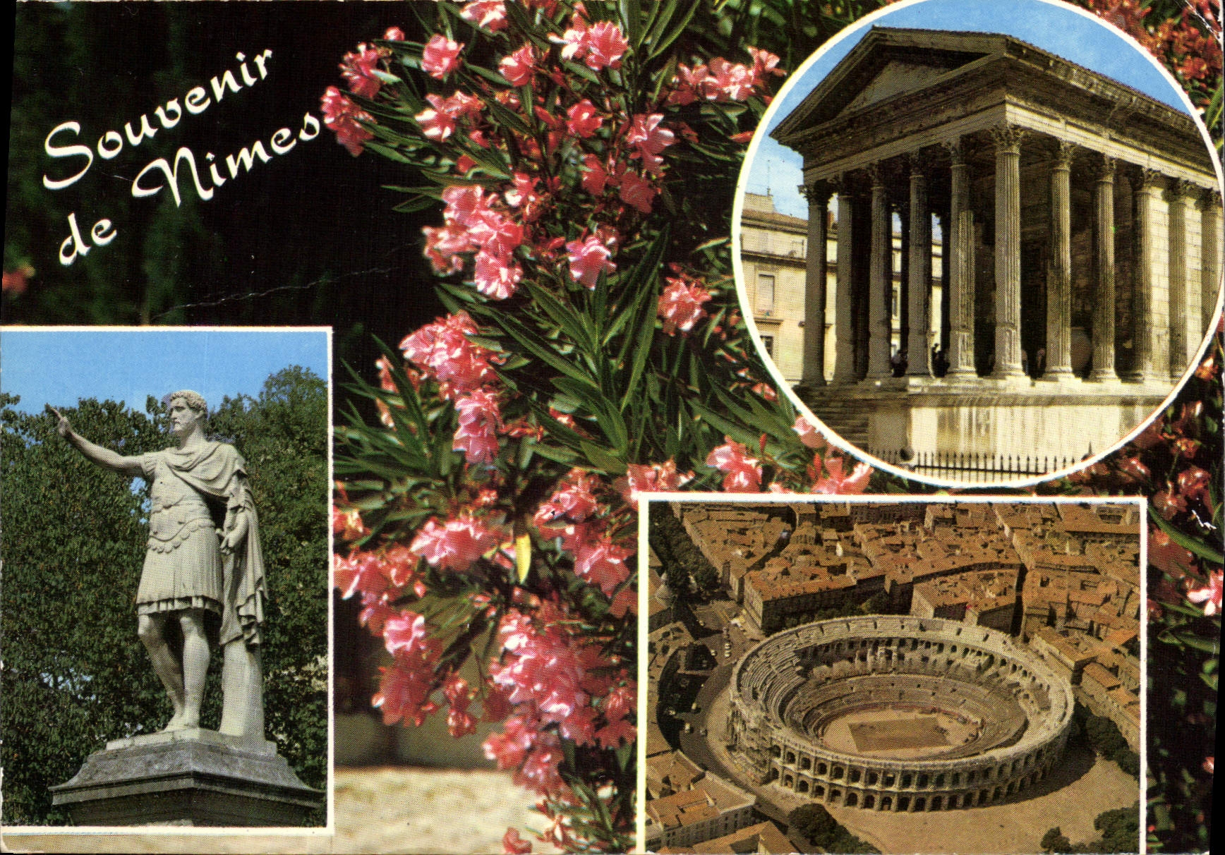 CPM Reflets de Provence Nimes B du R 