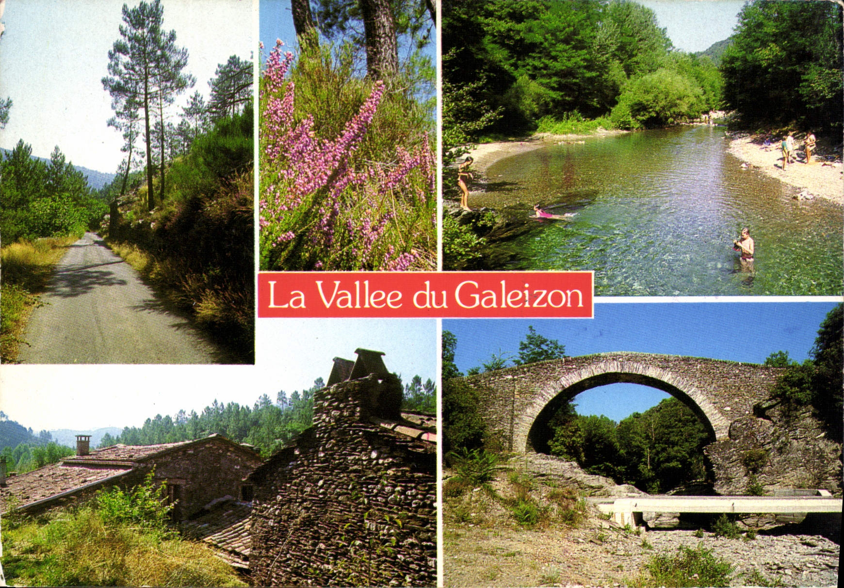 CPM les Cevennes touristiques La Vallee du Galeizon 