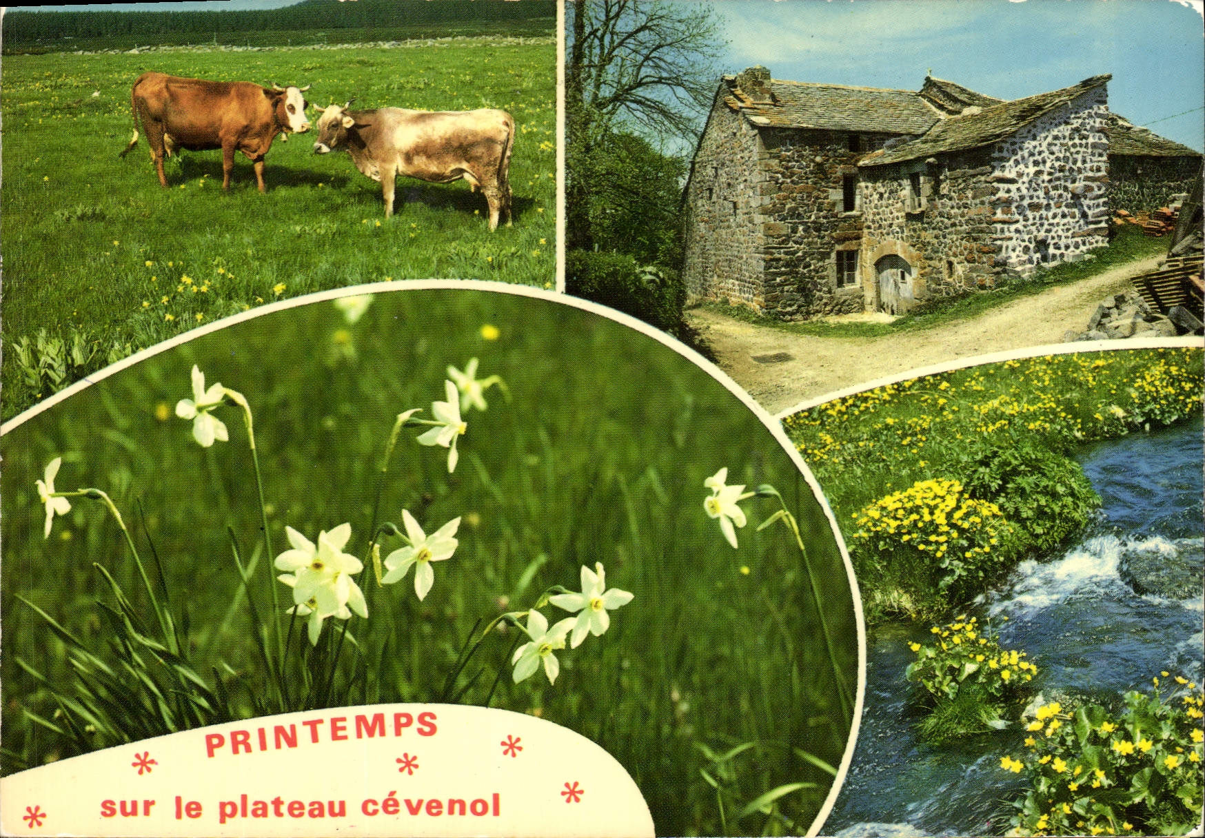 CPM Printemps sur le Plateau Cevenol 