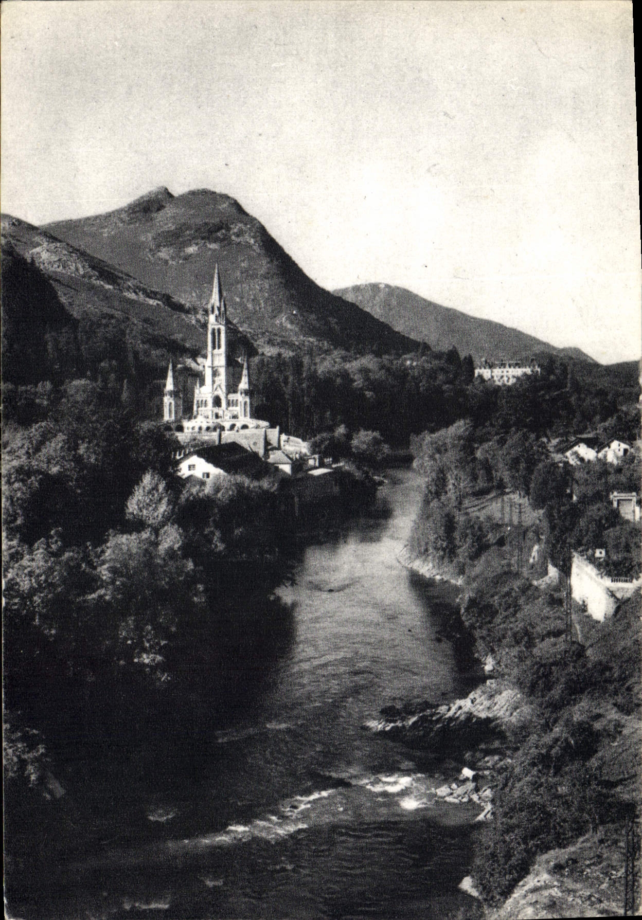 CPM N D de Lourdes La Basilique et le Gave 