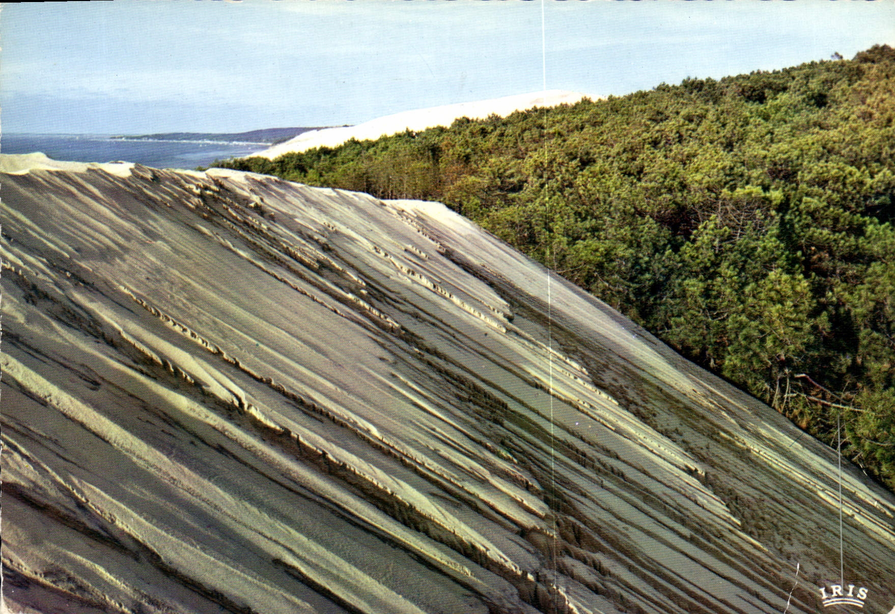 CPM Bassin d'Arcachon Ay Pyla les Dunes les plus hautes d'Europe