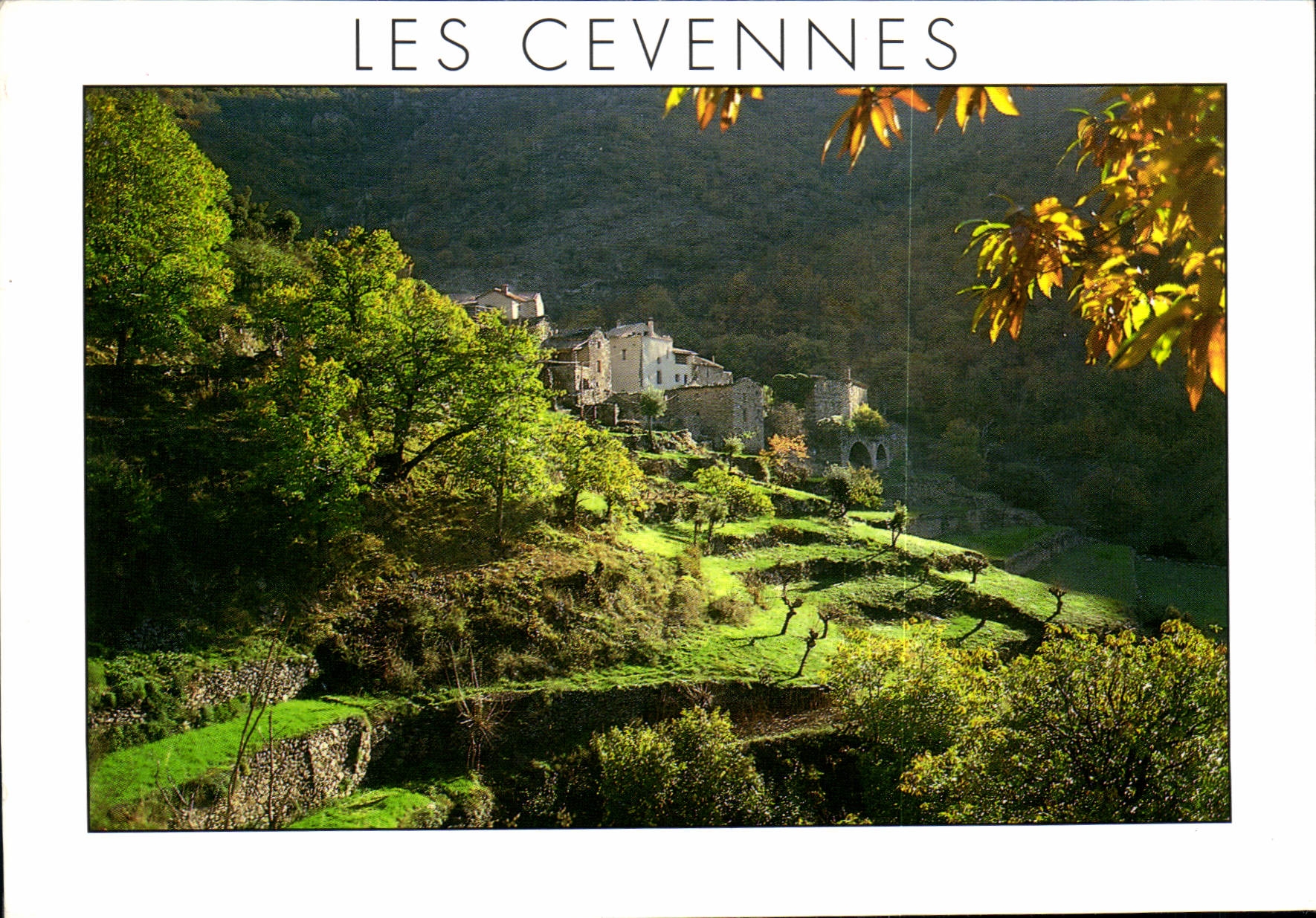 CPM Paysages des Cevennes Hameau Cevenol avec les Bancels culture en etage