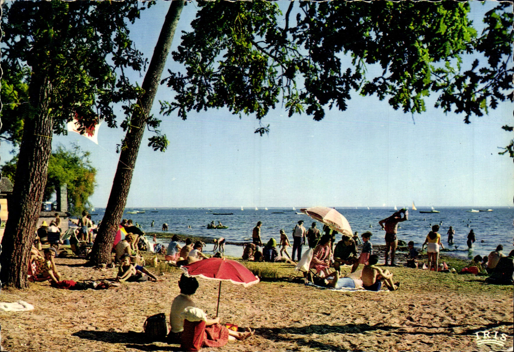 CPM Bassin d'Arcachon Andernos les Bains Plage du Betey