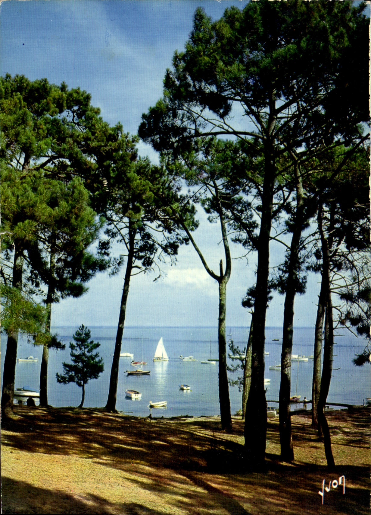 CPM Bassin d'Arcachon Gironde Une tres belle echappee sur le Bassin