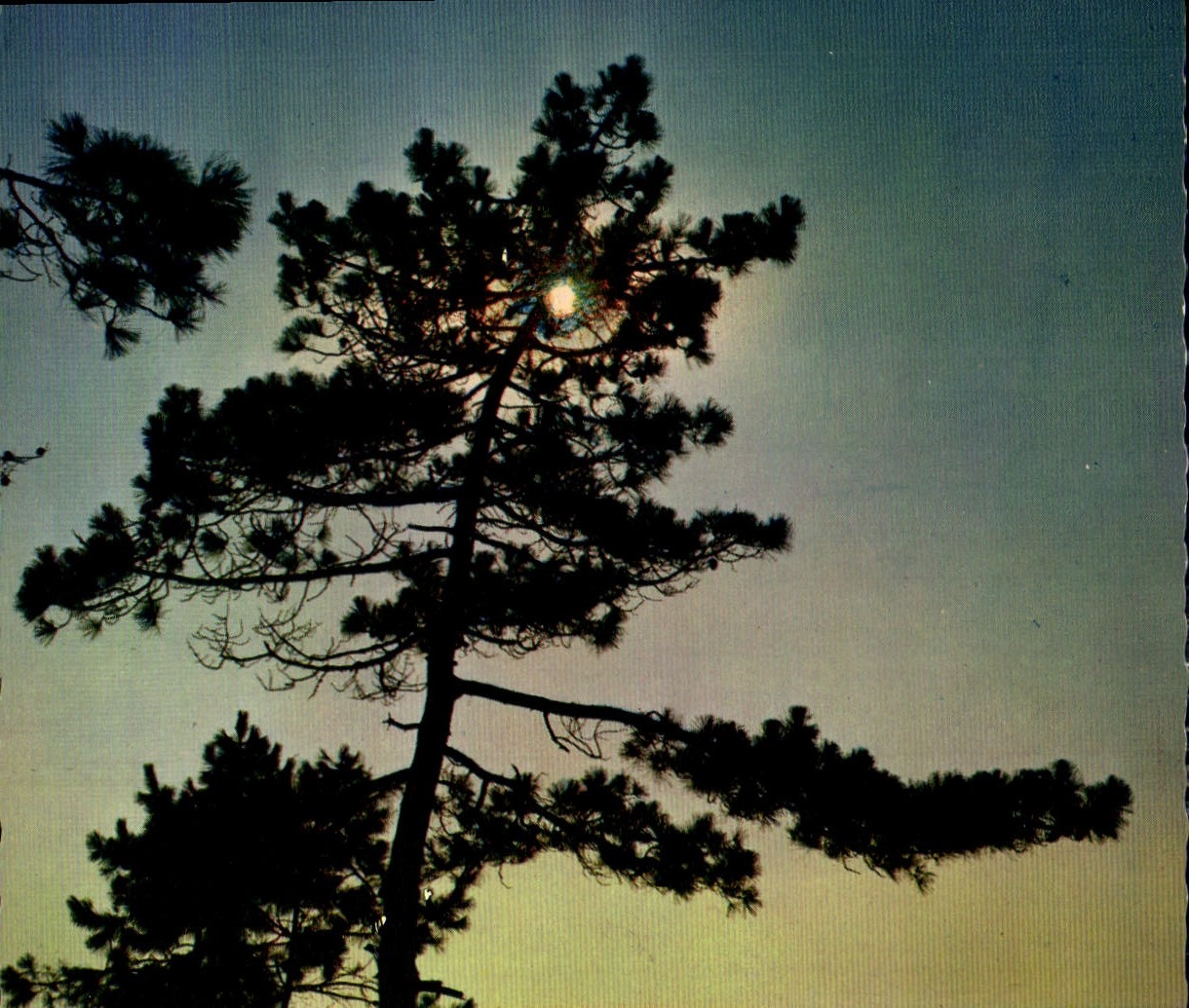 CPM Bassin d'Arcachon La Lune sartant des nuages noirs