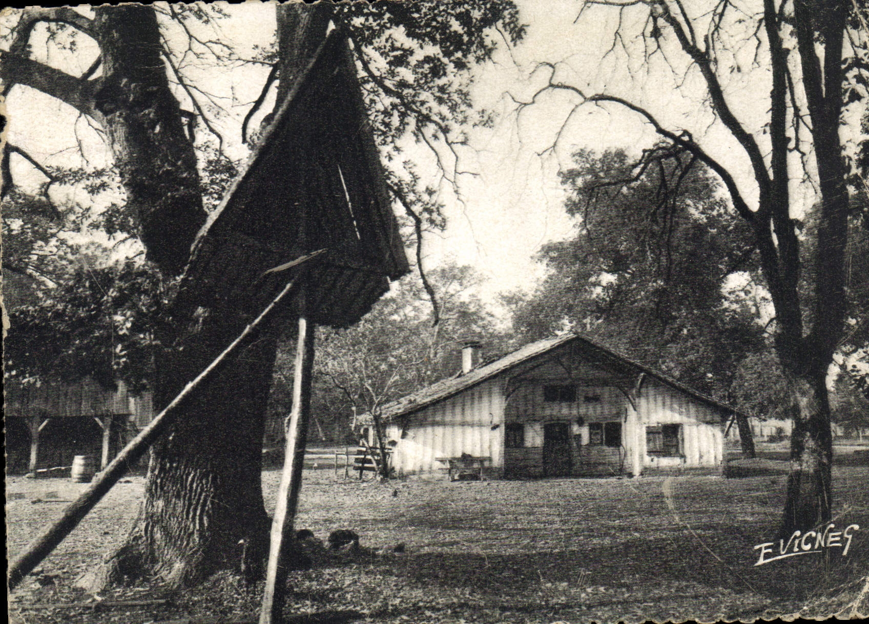 CPM En Guyenne Gascogne La Maison Landaise et son poulaliller