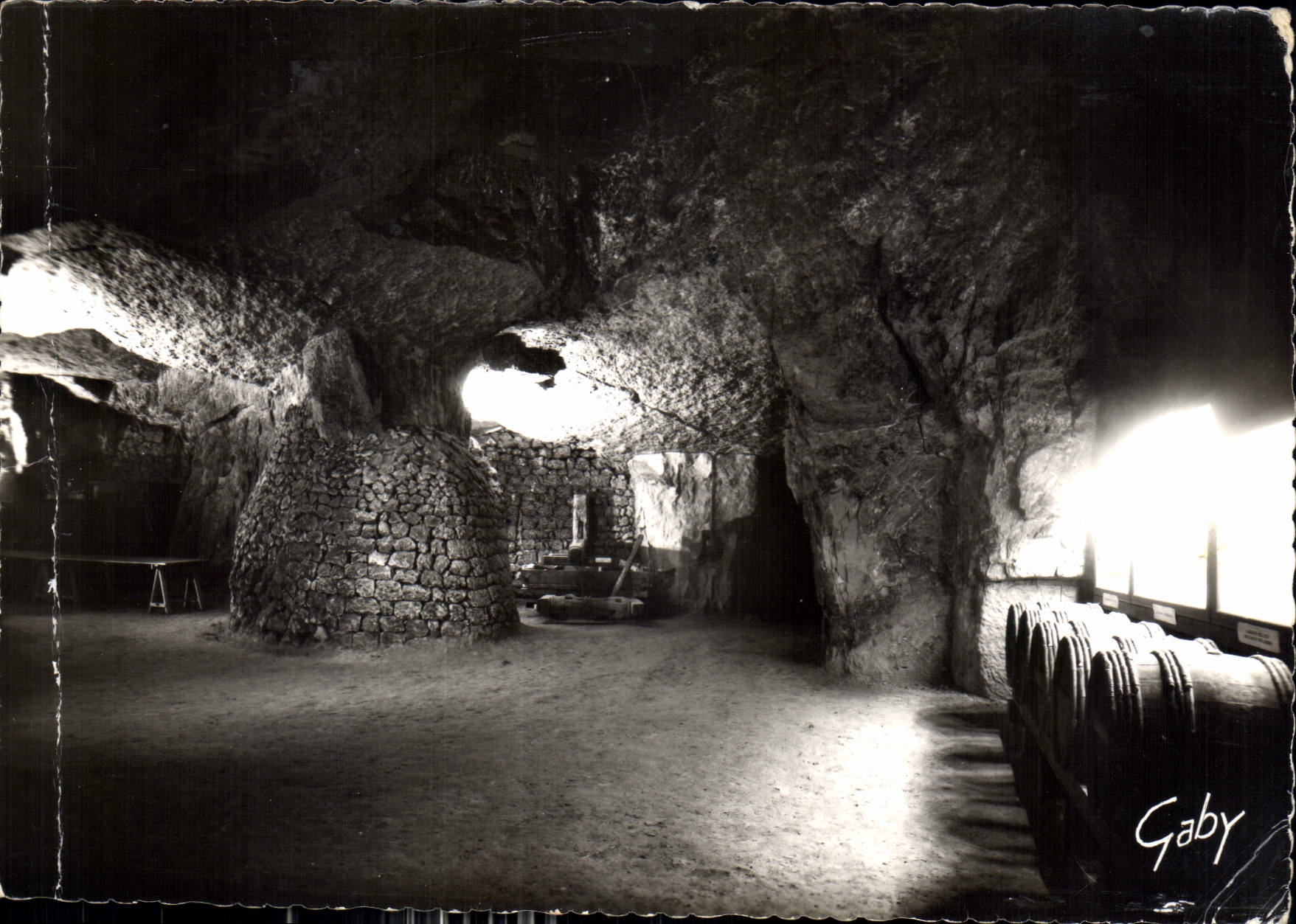CPM Bourgueil La cave touriste
