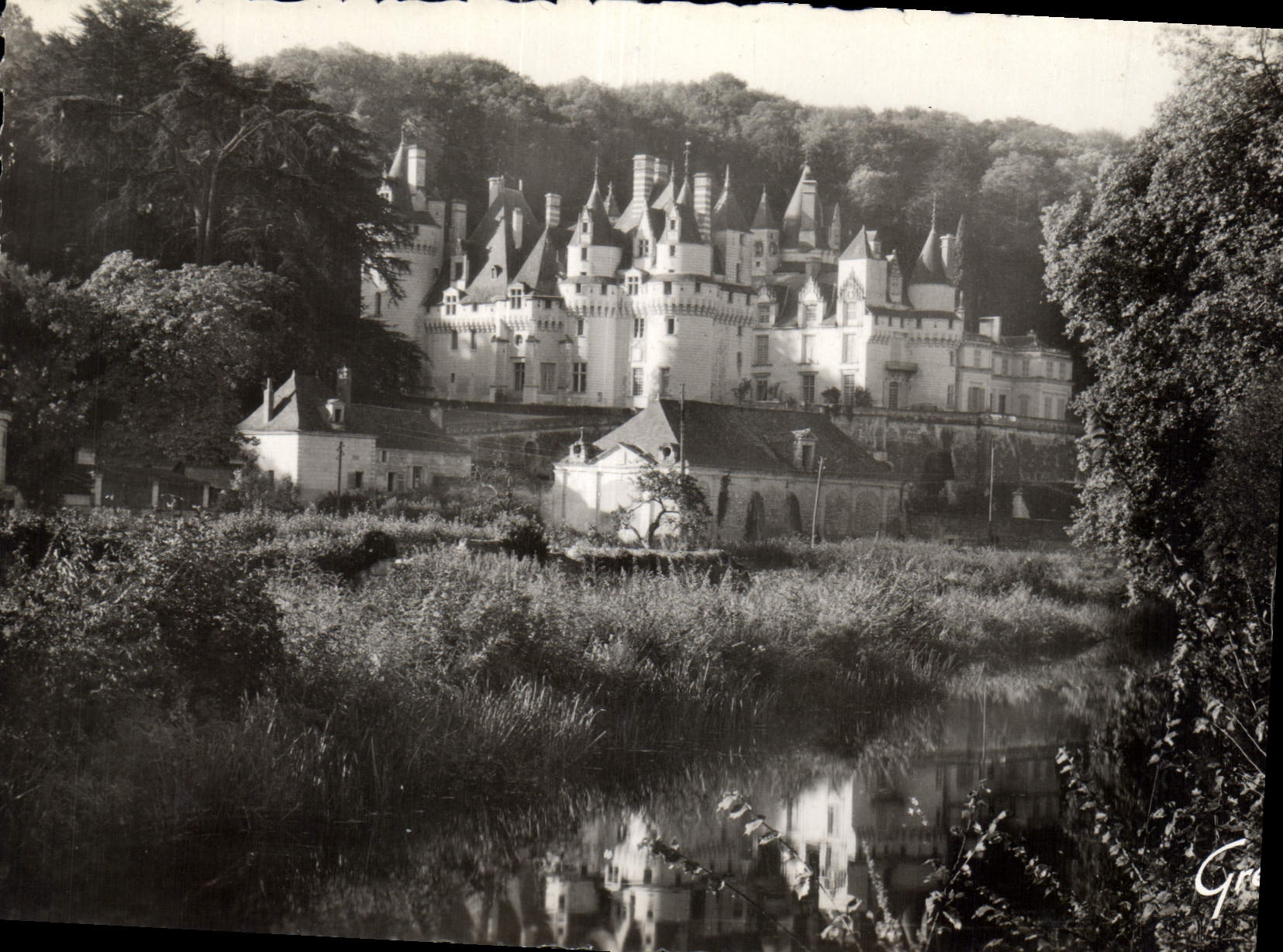 CPM Usse Le Chateau sous son nd de verdure