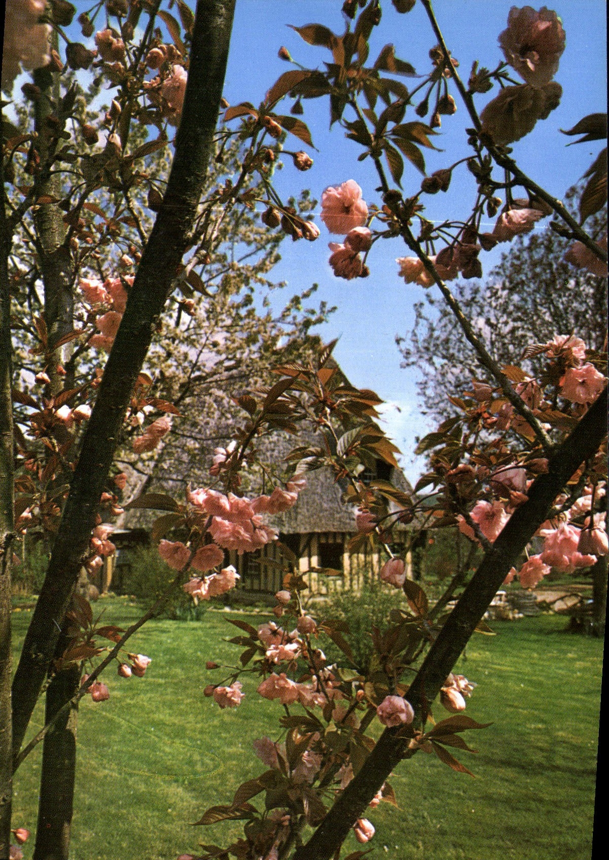 CPM Paysage Normand 