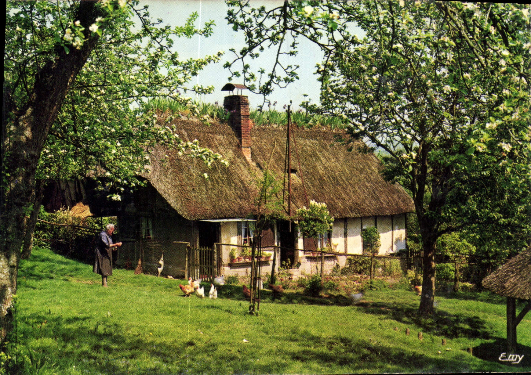 CPM La Normandie Pittoresque Chaumiere normande au printemps