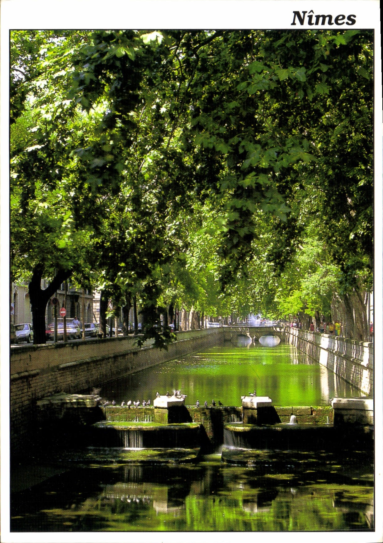 CPM Nimes Gard Quais de la Fontaine 