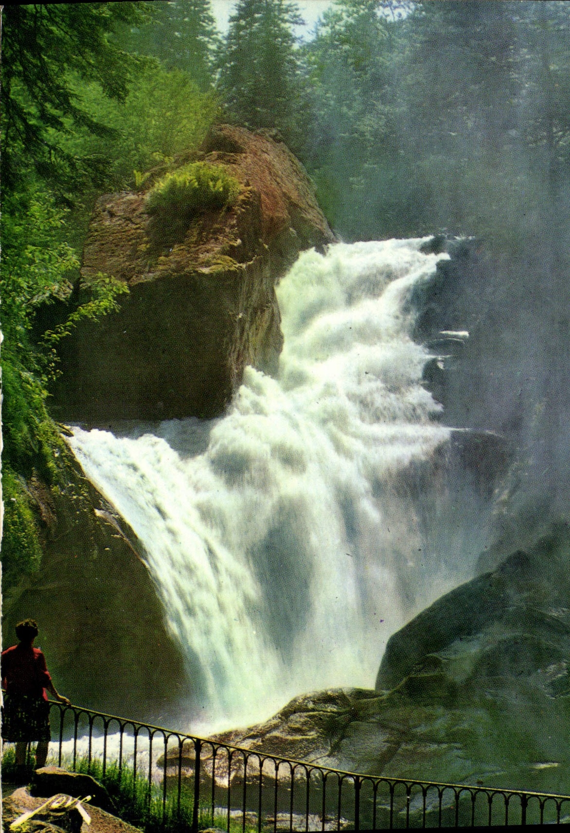 CPM Cauterets Route du Pont d'Espgane Cascade du Cerisey