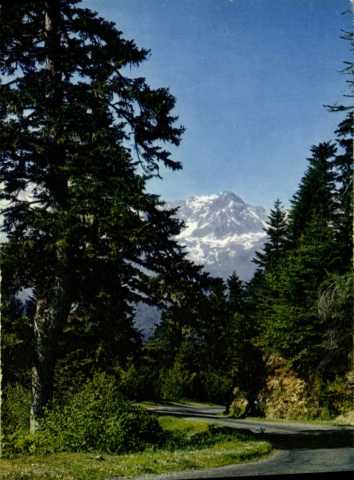 CPM La Route des Pyrenees dans le Col d'Aspin