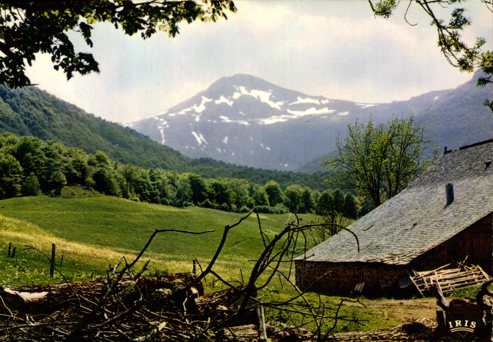 CPM En Auvergne Le Puy Mary 