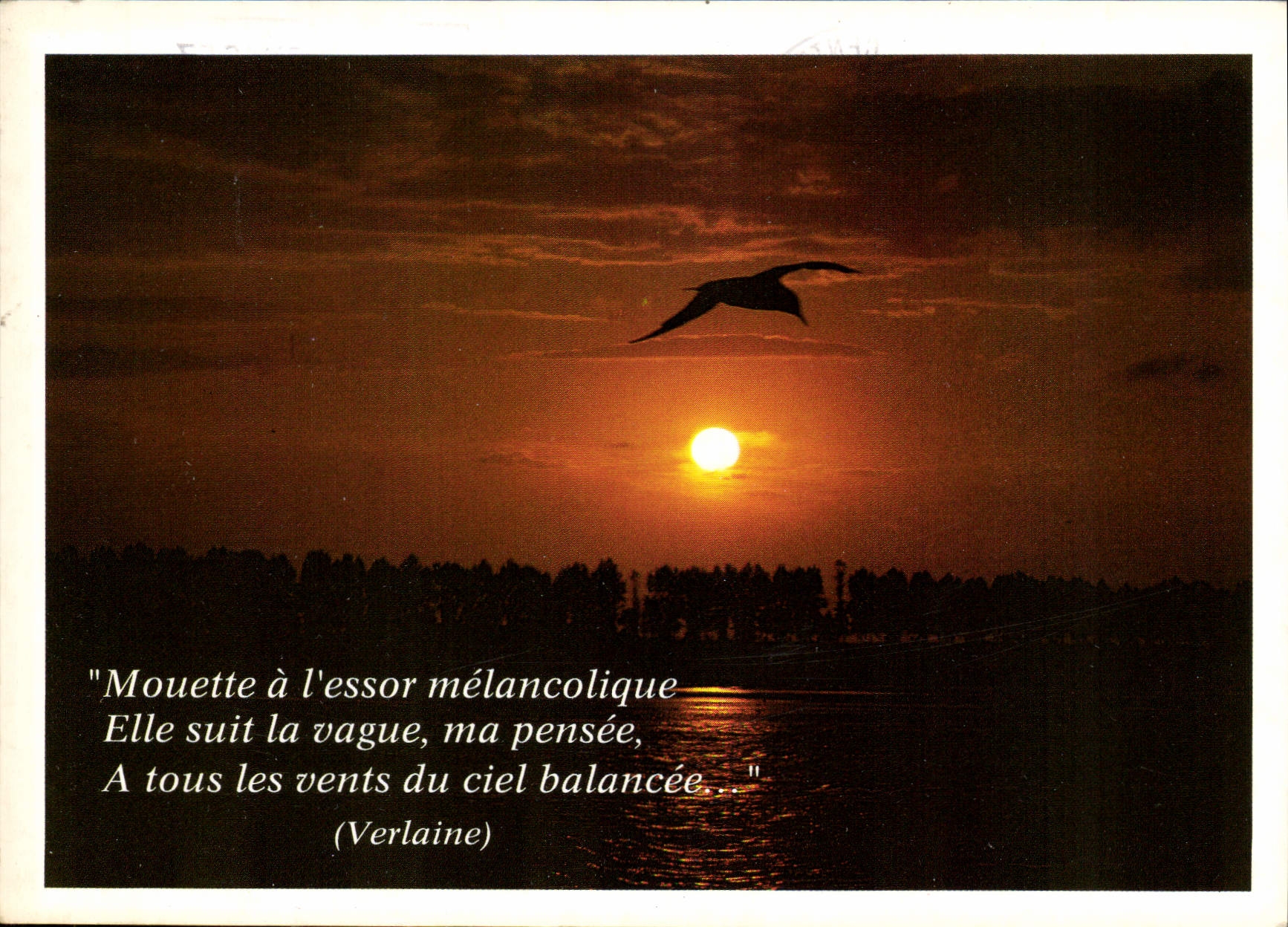 CPM Poesie 