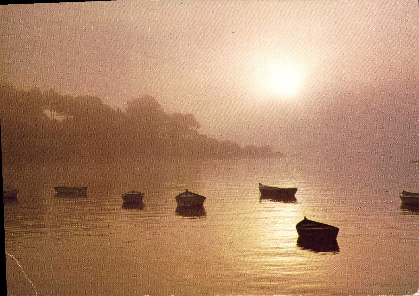 CPM Brume matinale 