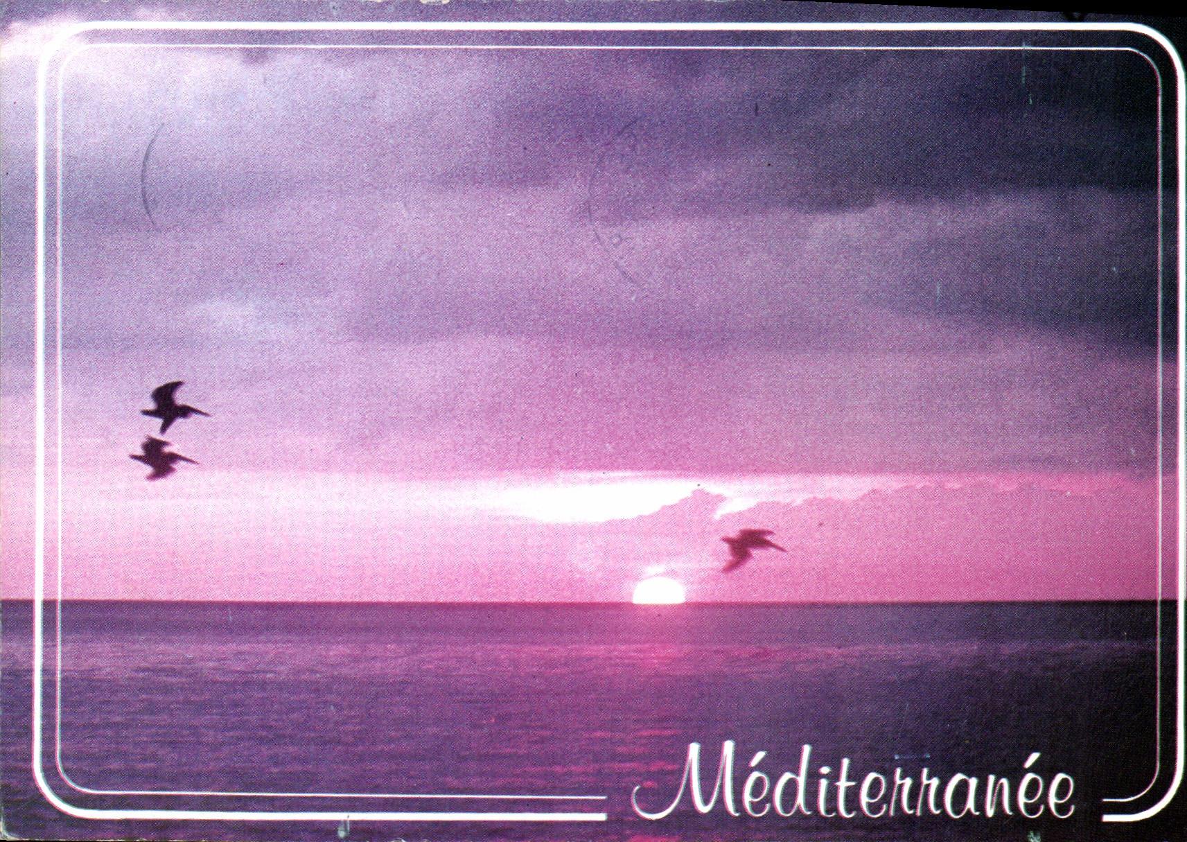 CPM La Mediterranee 